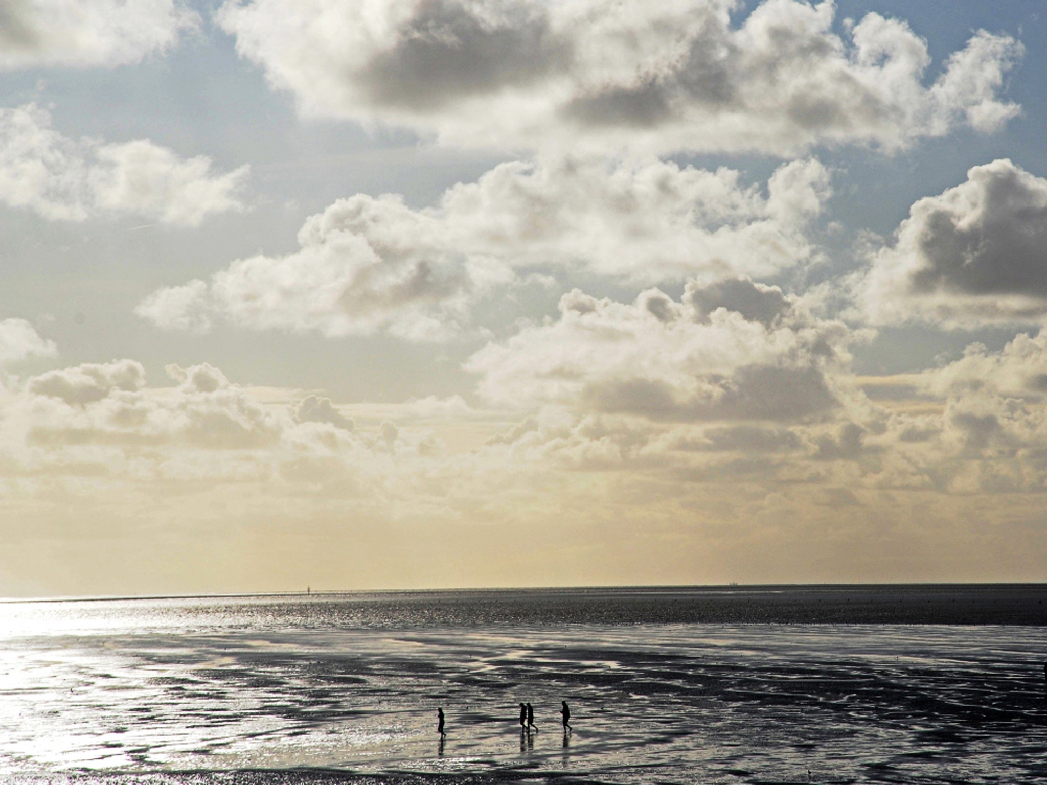 Water world: walking in the Wadden Sea