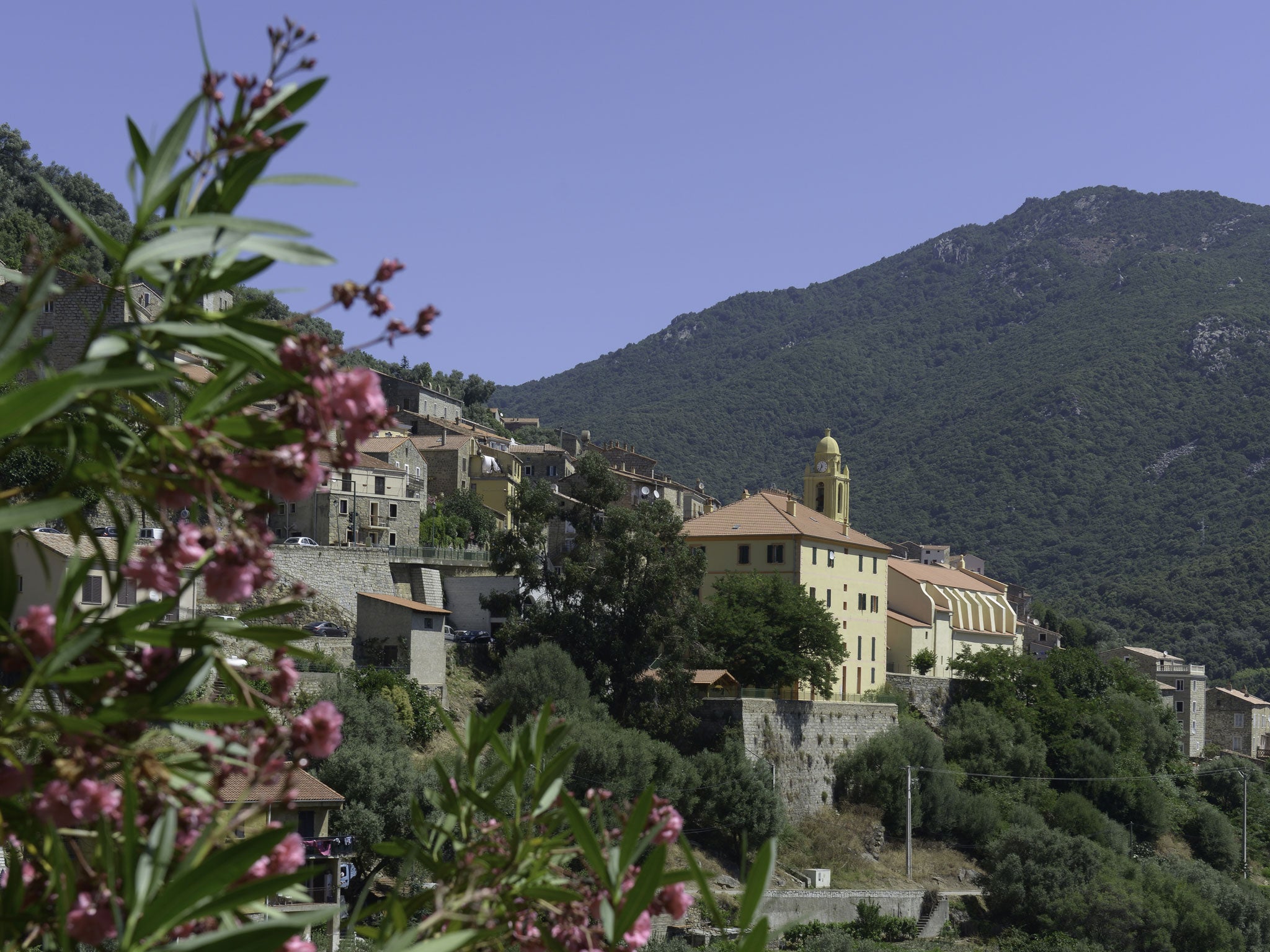 King of the hill: Olmeto