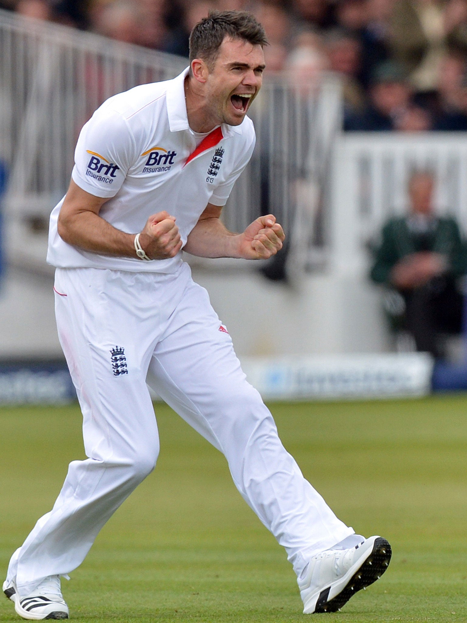 James Anderson celebrates taking his 300th test wicket, that of New Zealand's Peter Fulton, caught by Graeme Swann for 2 during the first test at Lord's Cricket Ground, London