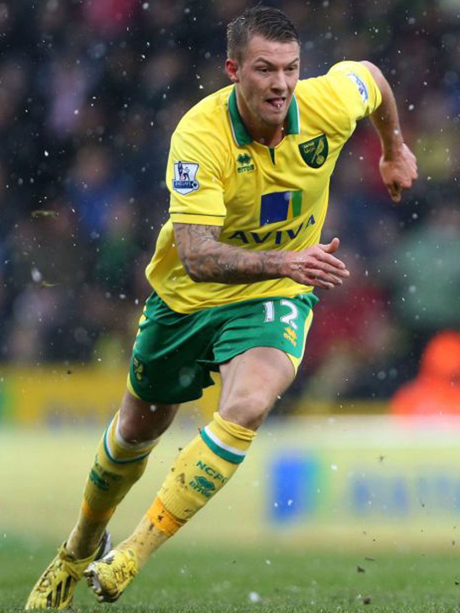 Norwich winger Anthony Pilkington has been withdrawn from the Republic of Ireland squad, the Football Association of Ireland has confirmed