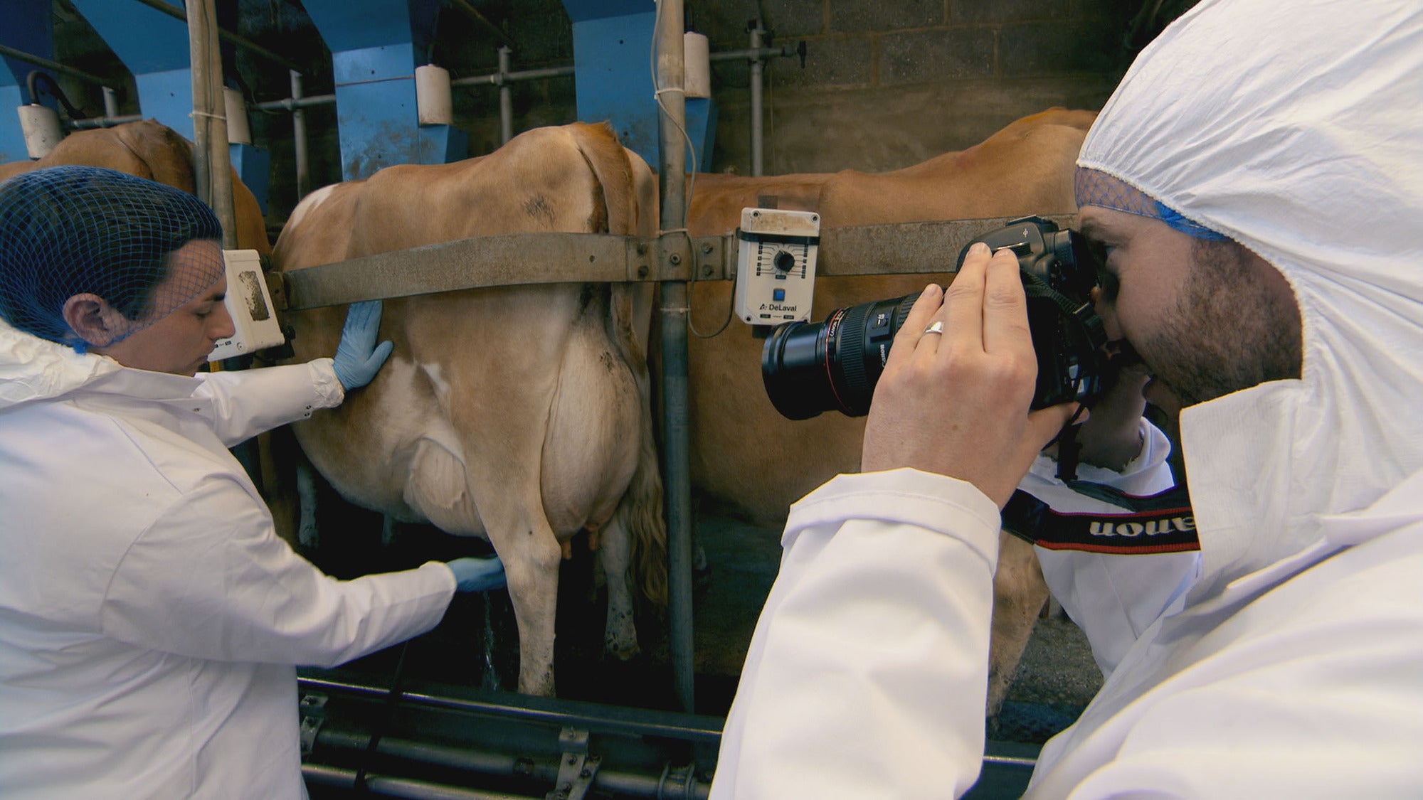 The Apprentice contestants get stuck in