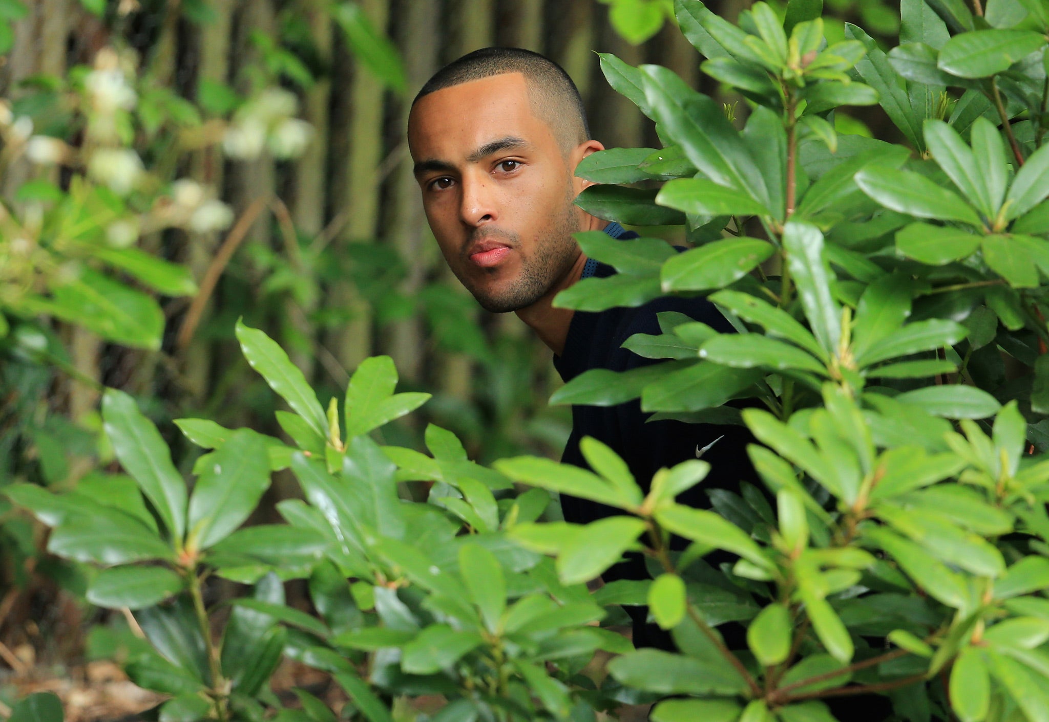 Theo peers out from within the bushes as he searches for a way back to the fairway