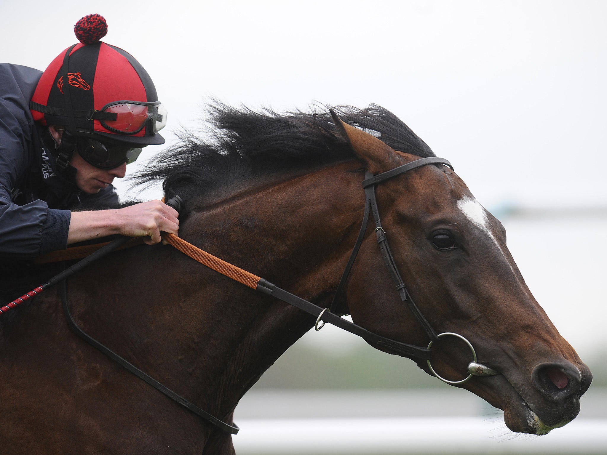 Telescope in action at Lingfield