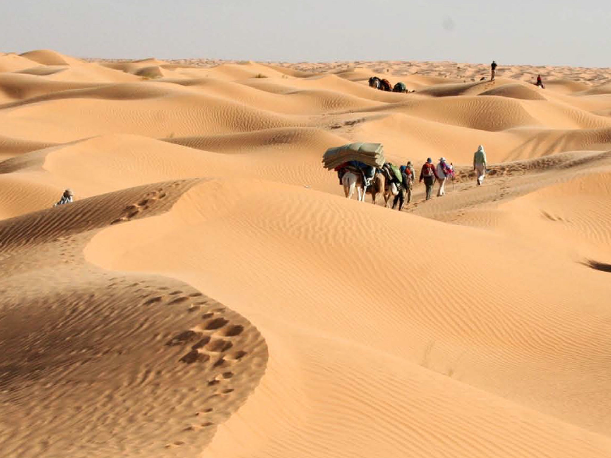 Dune roaming: the group treks across the sands