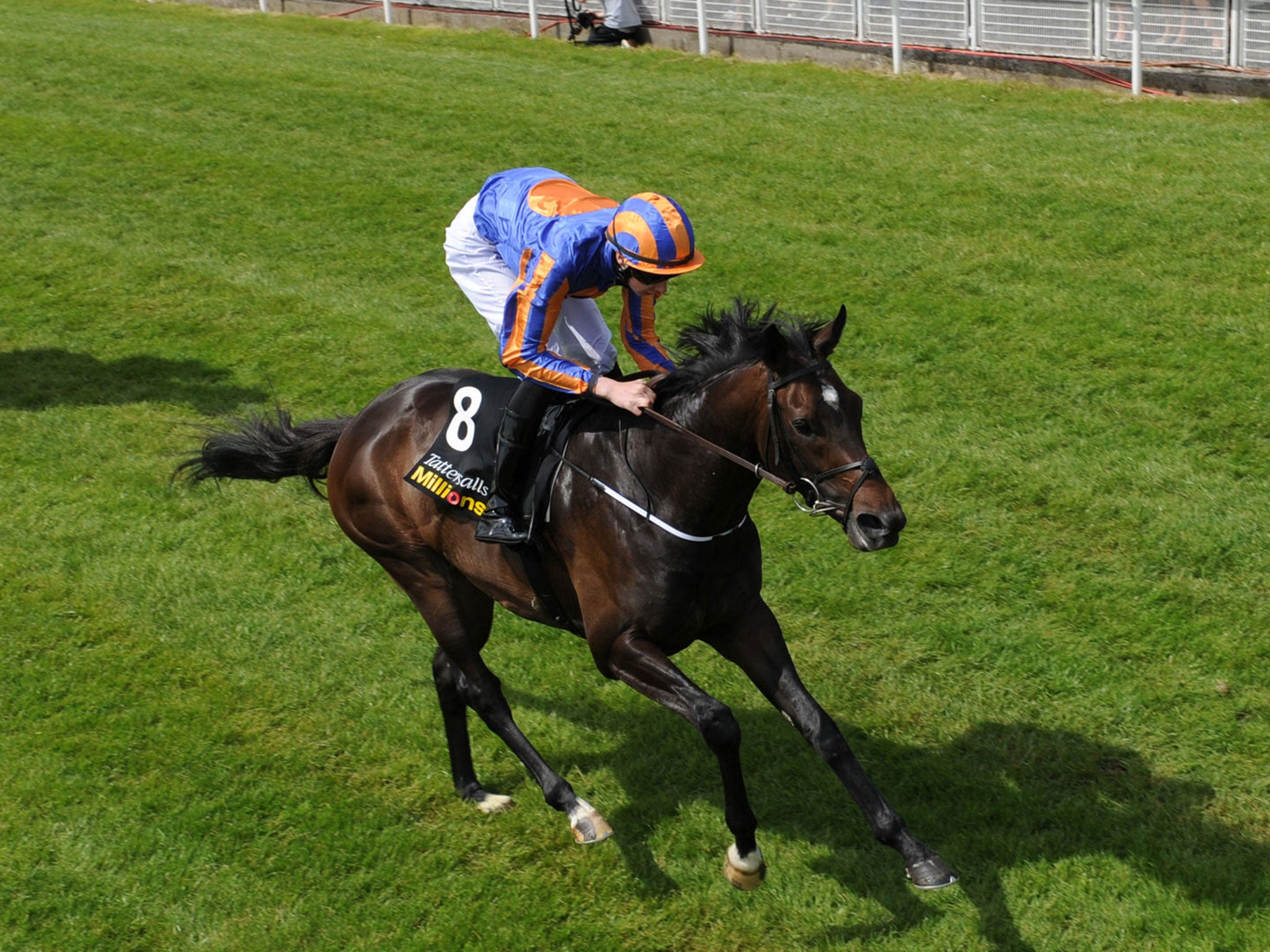 Good trick: Joseph O’Brien brings home Magician to win the Irish 2,000 Guineas ahead of Gale Force Ten in a one-two for his father Aidan’s Ballydoyle stable