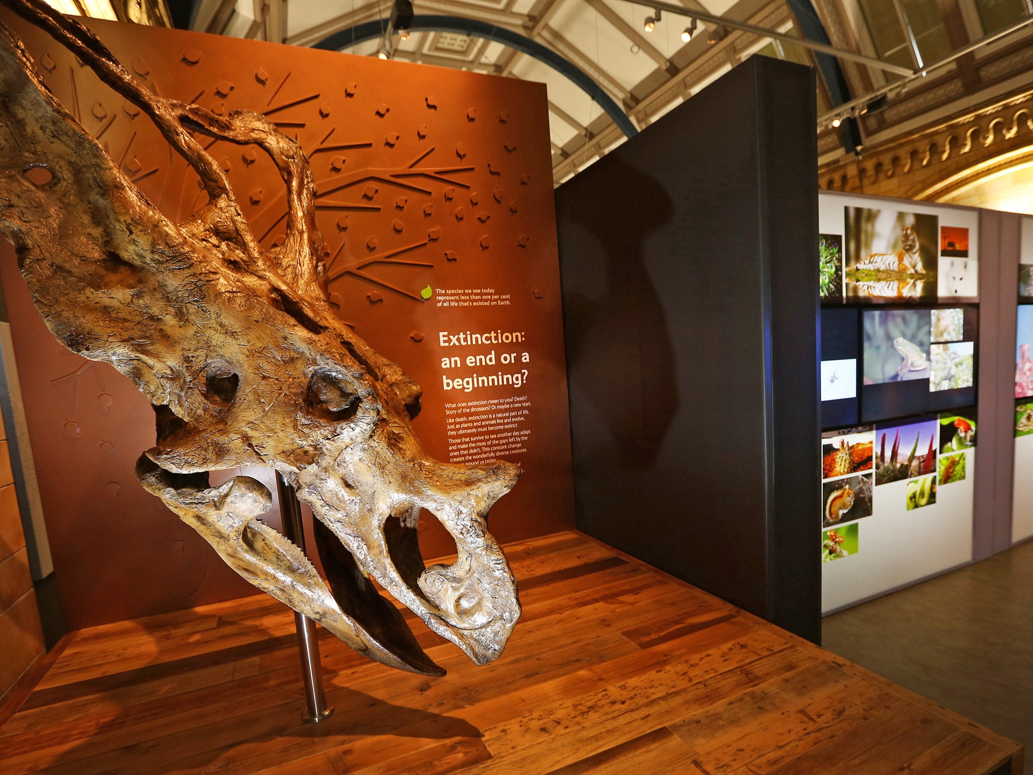 The Natural History Museum in London