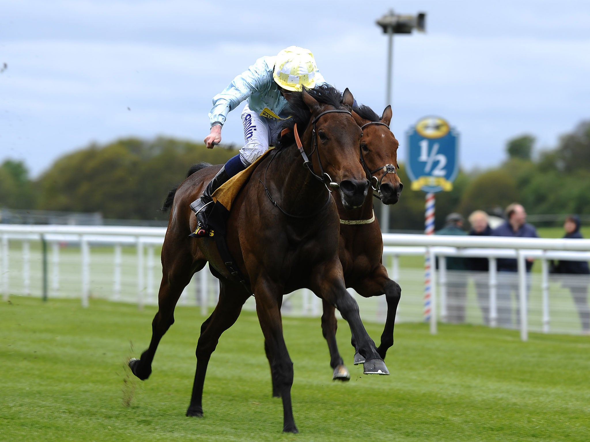 Liber Nauticus won her trial at York but the contours of Epsom may not suit her so well