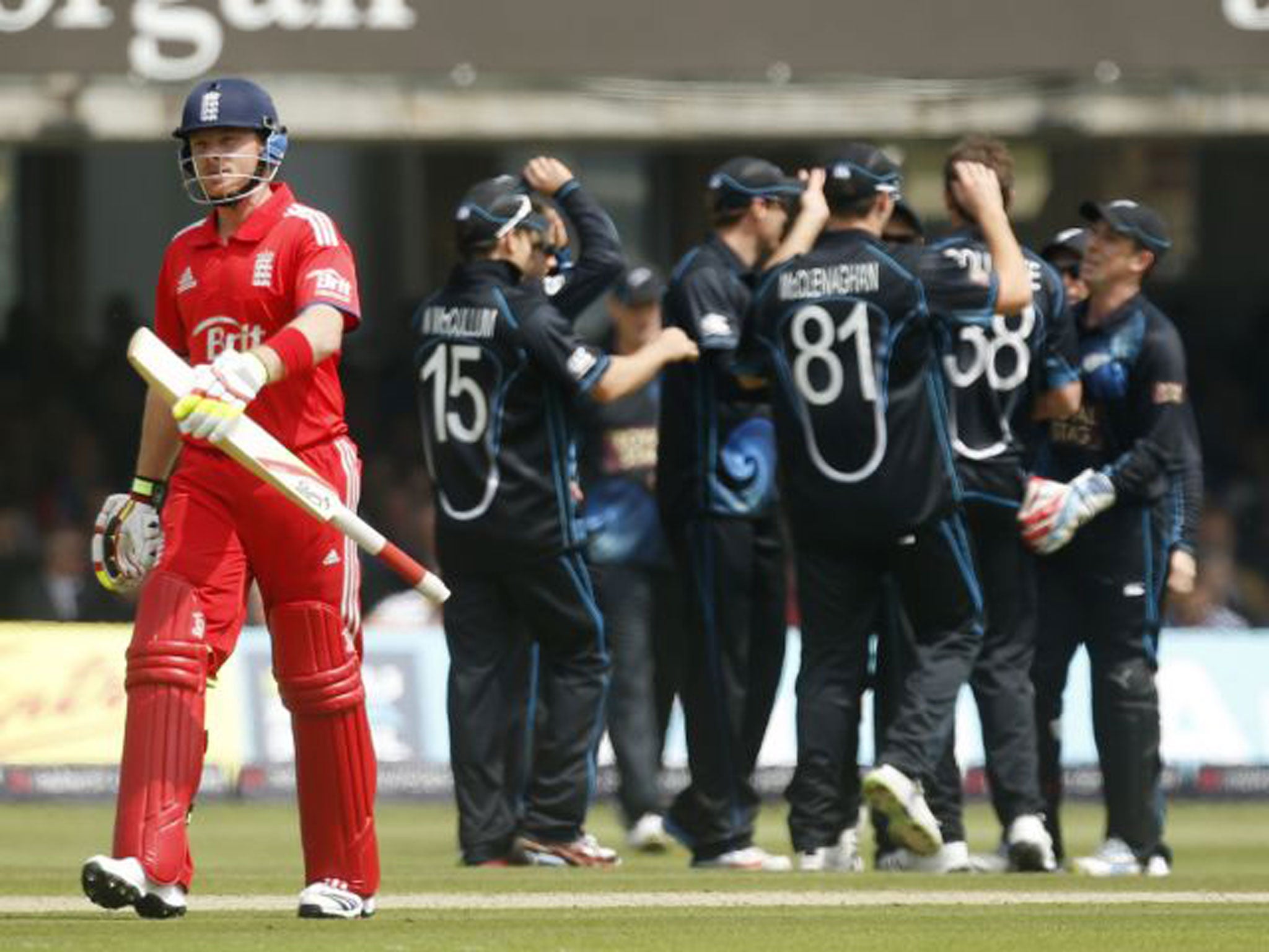 Ian Bell trudges off after being out caught by Luke Ronchi off the bowling of Tim Southee