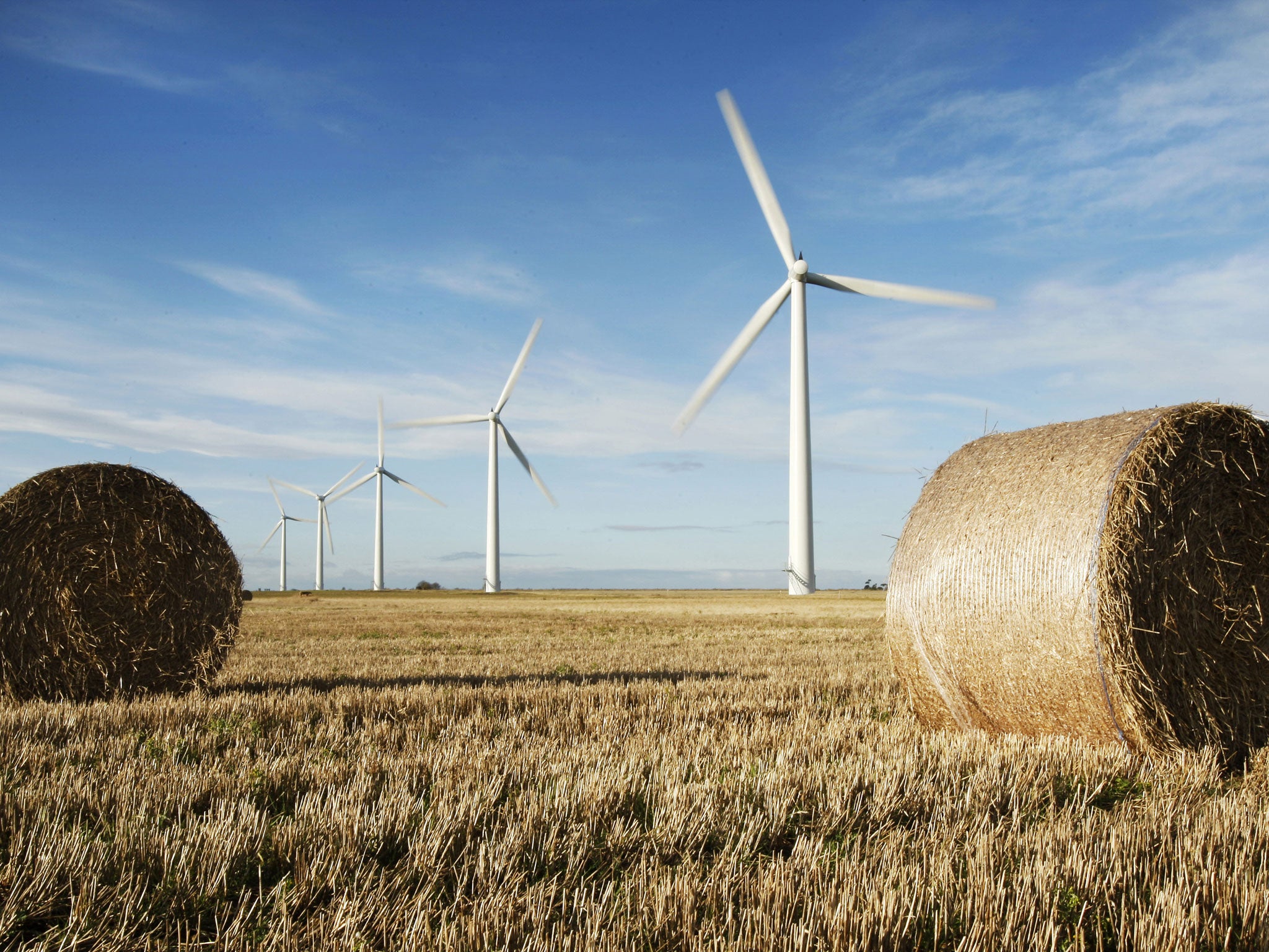 Bumper harvest: Westmill Wind Farm Co-operative produces enough green electricity to power more than 2,500 homes, cutting carbon dioxide emissions