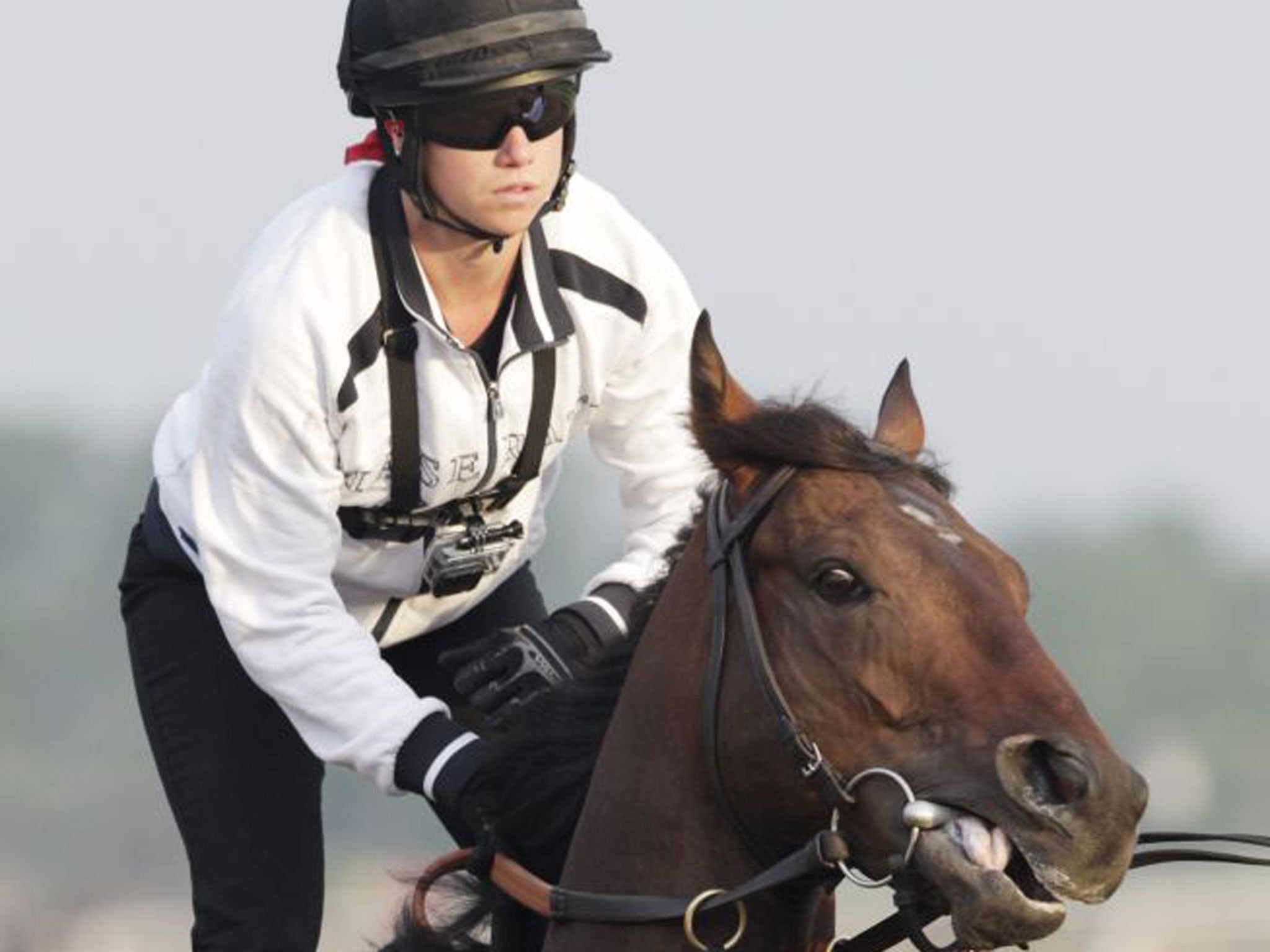 Kentucky Derby winner Orb is one of the favourites for today’s Belmont Stakes in New York