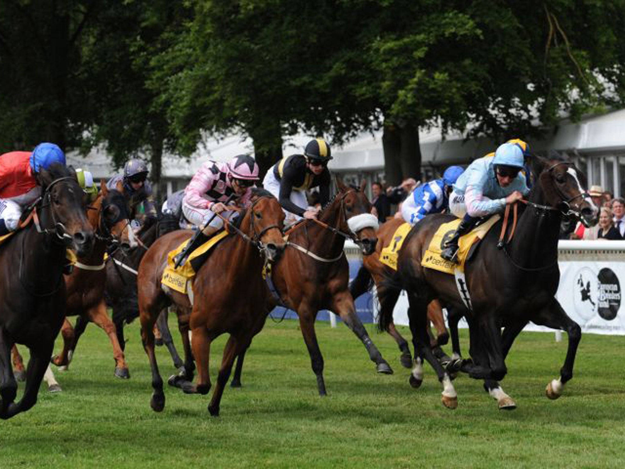 Ascot bound: William Buick drives Nocturn to a narrow victory over Enrol