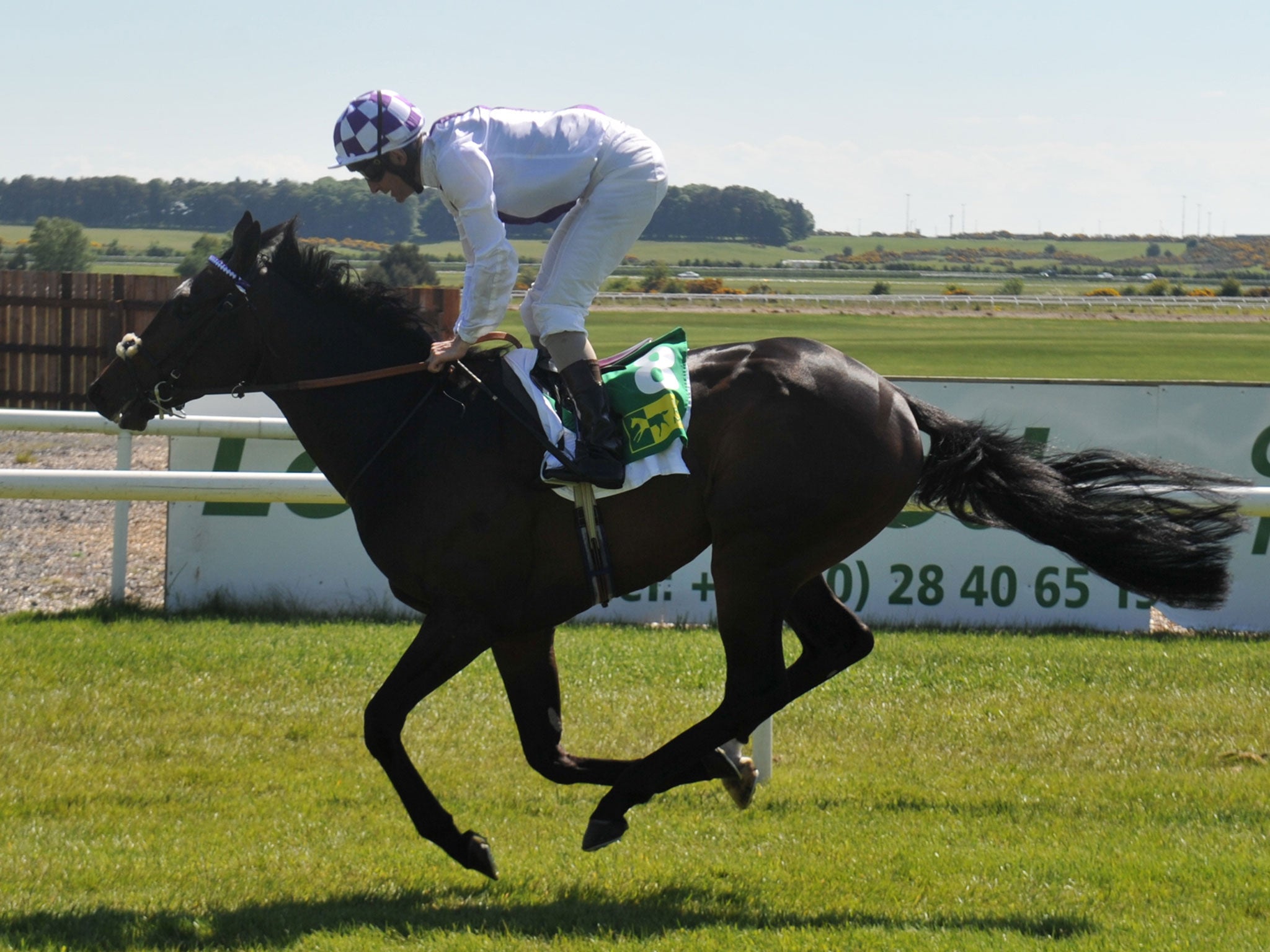 Trading Leather wins the Listed Silver Stakes at the Curragh yesterday