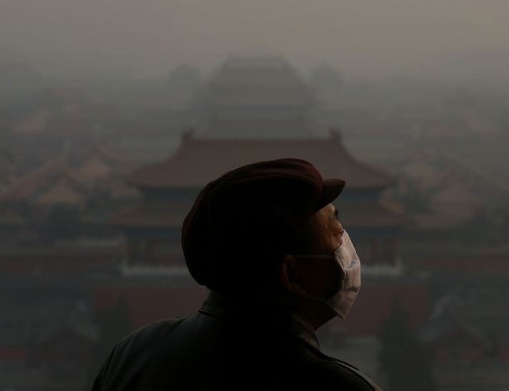 A tourist wearing the mask looks at the Forbidden City, Beijing