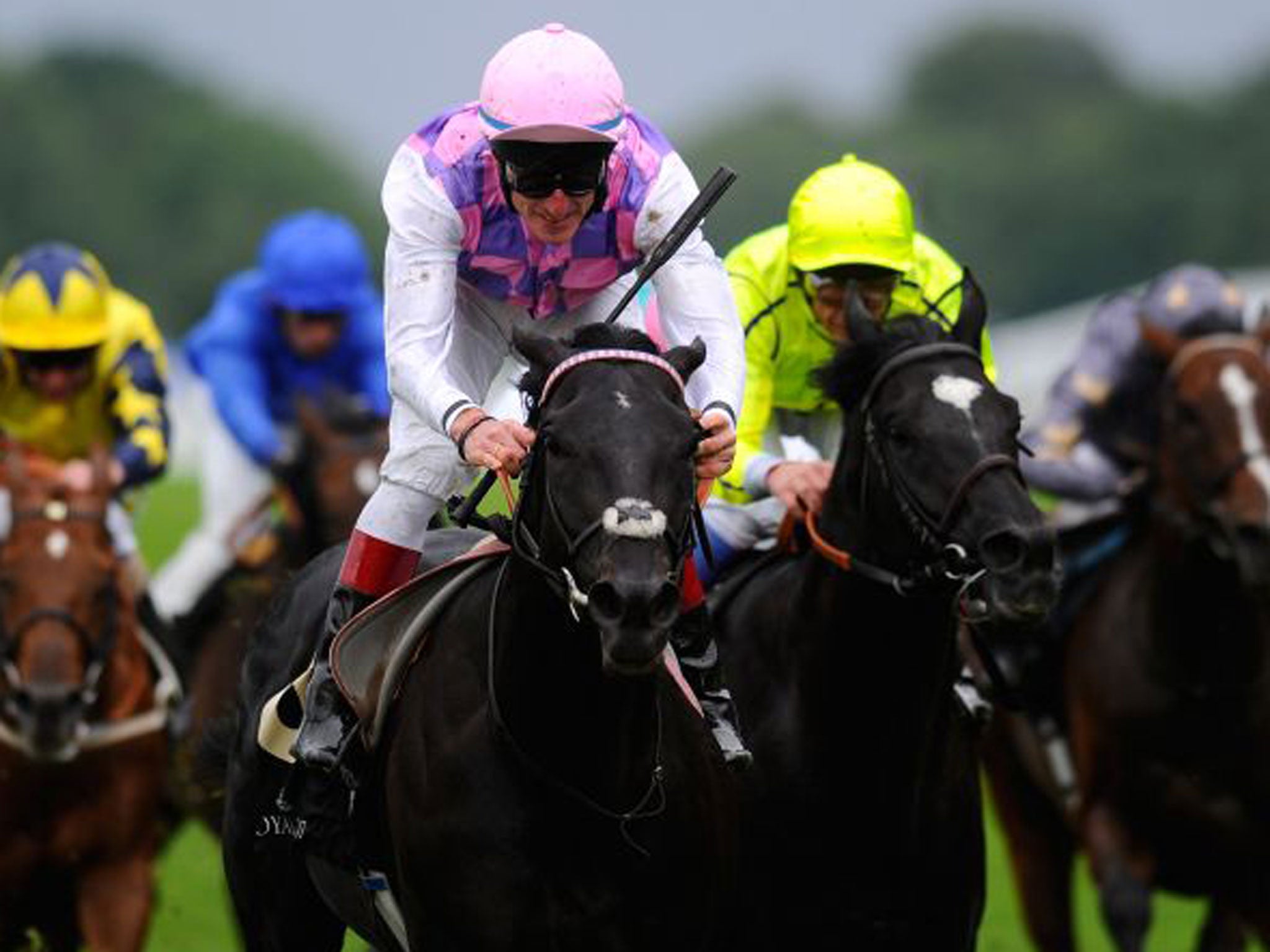 Sad day: Johnny Murtagh riding Thomas Chippendale, being interviewed and at the presentation with Lady Cecil