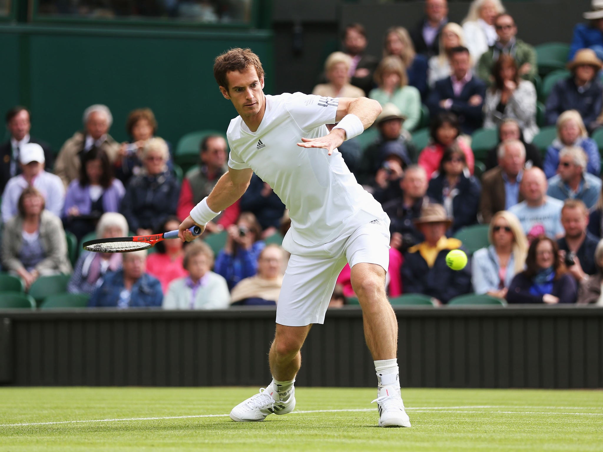 Andy Murray in action