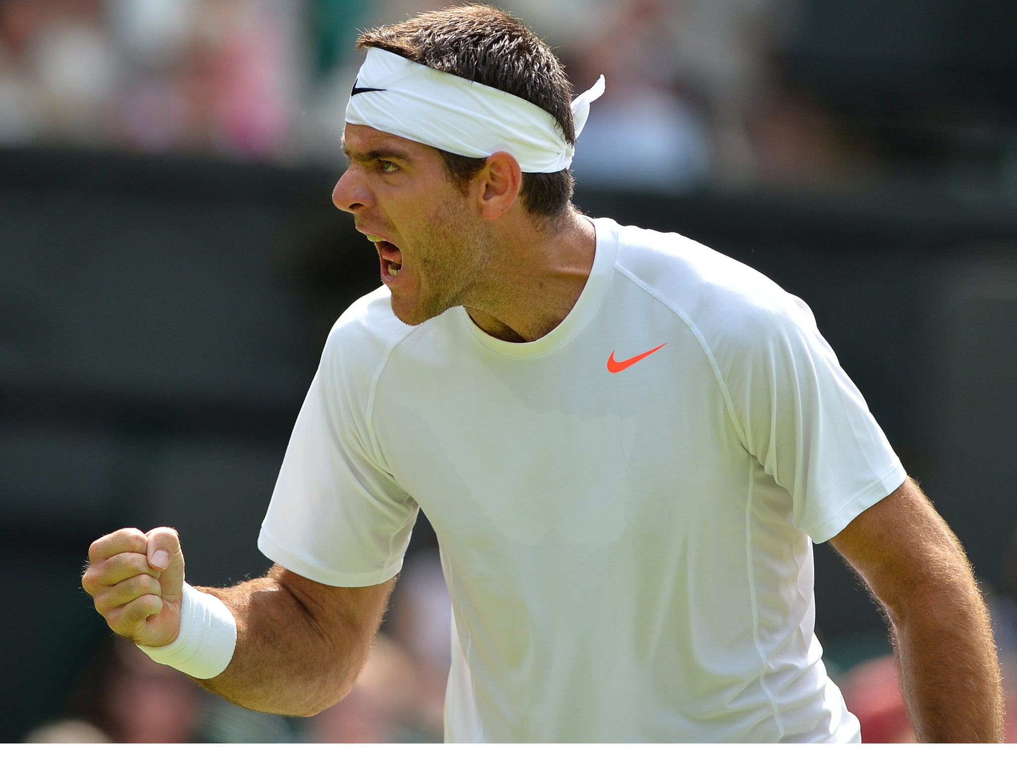 Juan Martin del Potro celebrates his second round victory over Jesse Levina