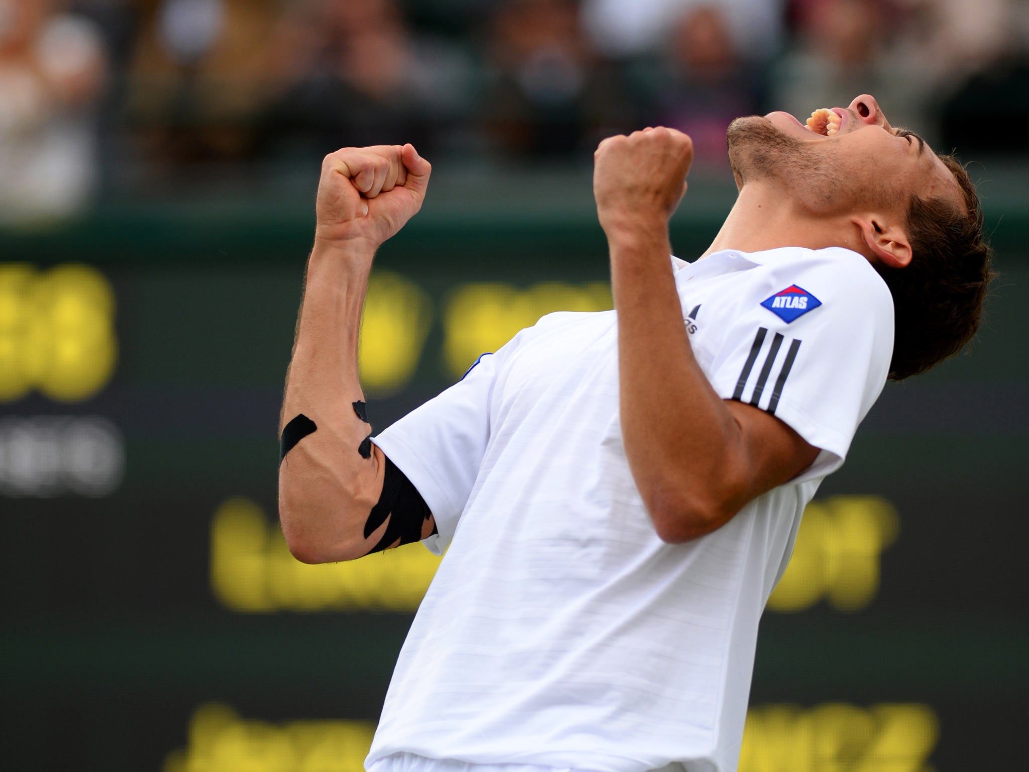 Jerzy Janowicz celebrates his semi-final victory