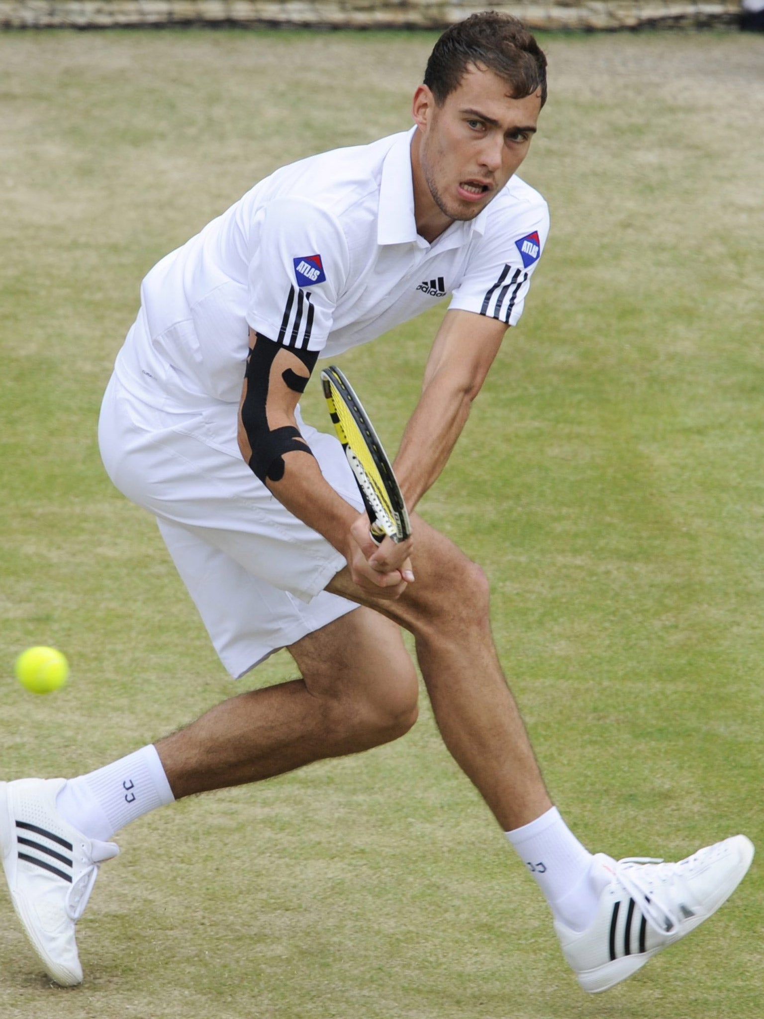 Jerzy Janowicz hit 30 aces in reaching the semi-finals