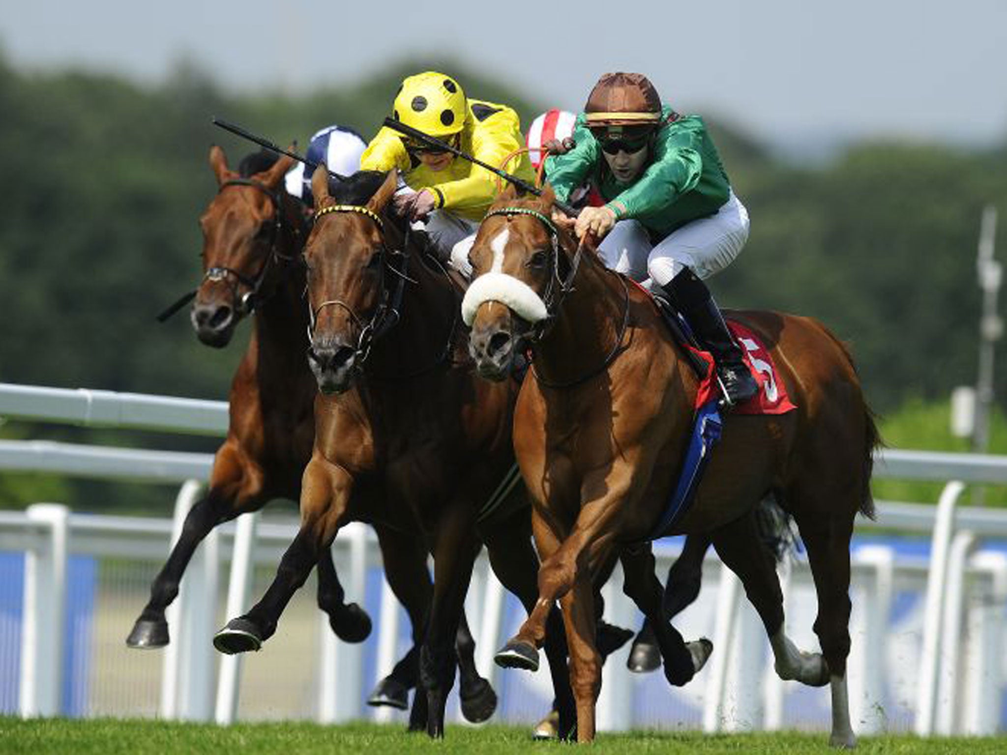 The French-trained Mandour (right), ridden by Christophe Lemaire, wins the Gala Stakes from Afsare (yellow) at Sandown yesterday