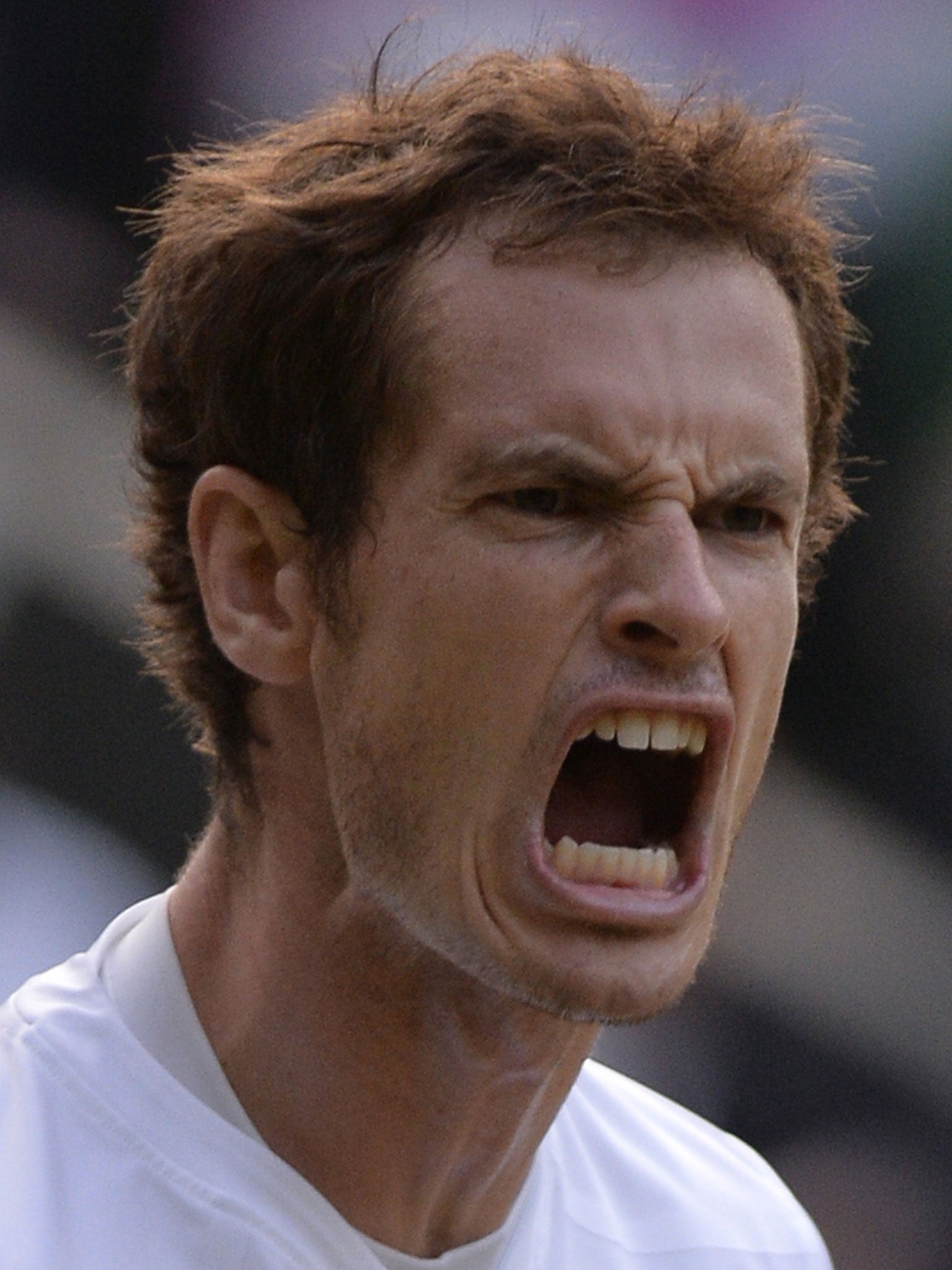 Murray may find victory at wimbledon at last