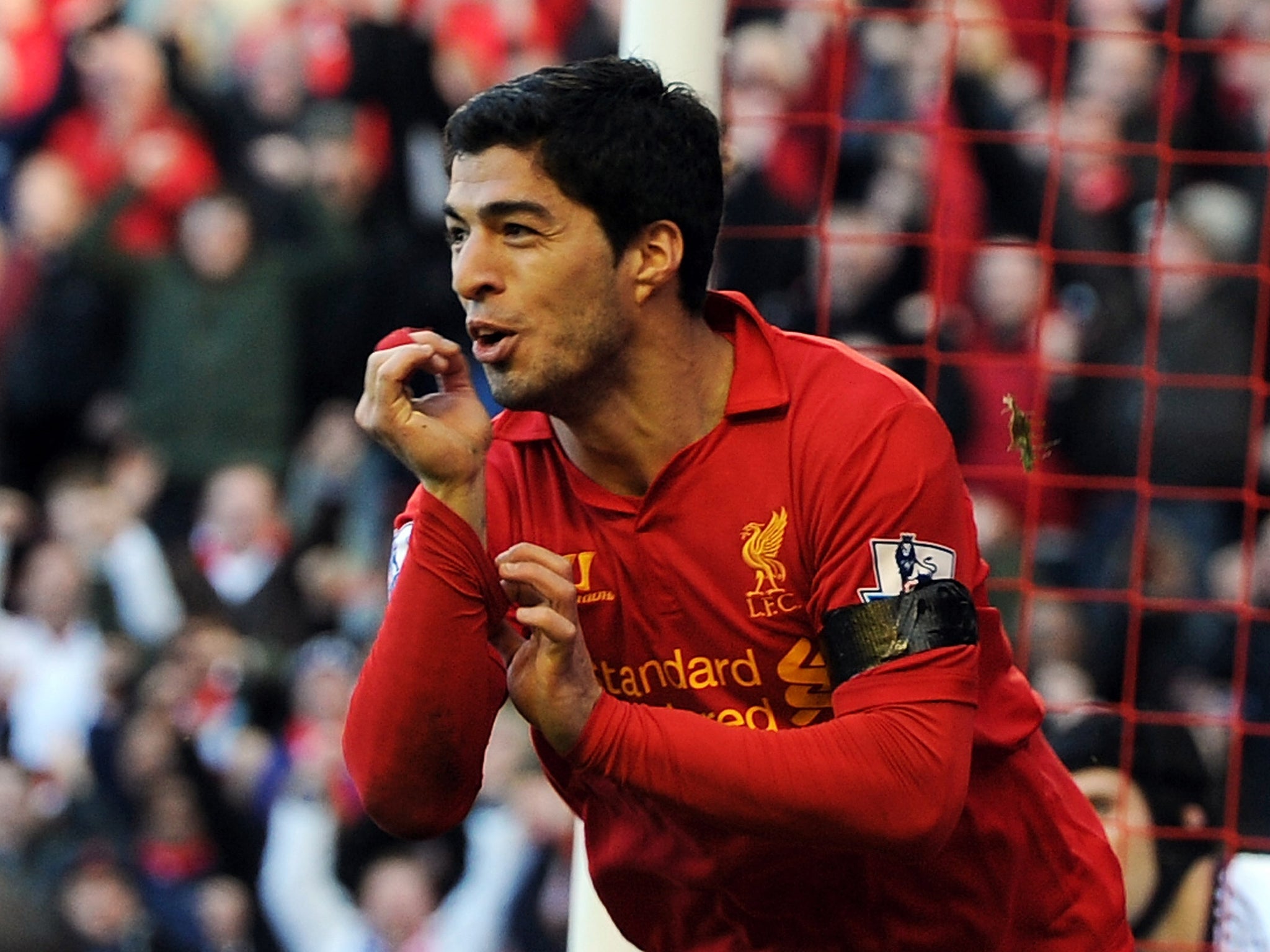 Liverpool striker Luis Suarez