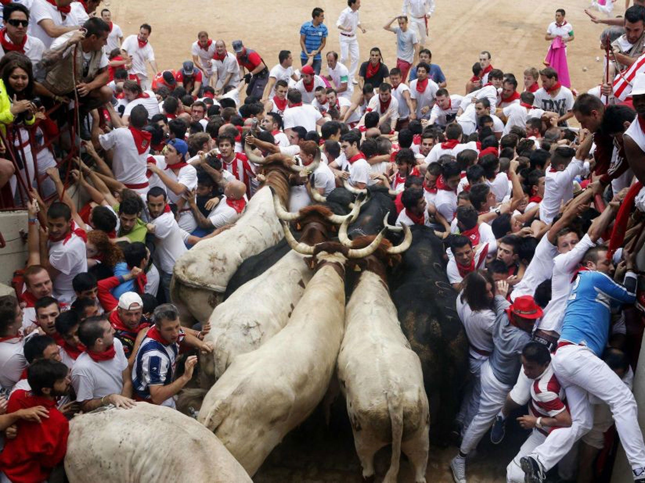 Runners get trapped with Fuente Ymbro fighting bulls at the entrance to the bull ring