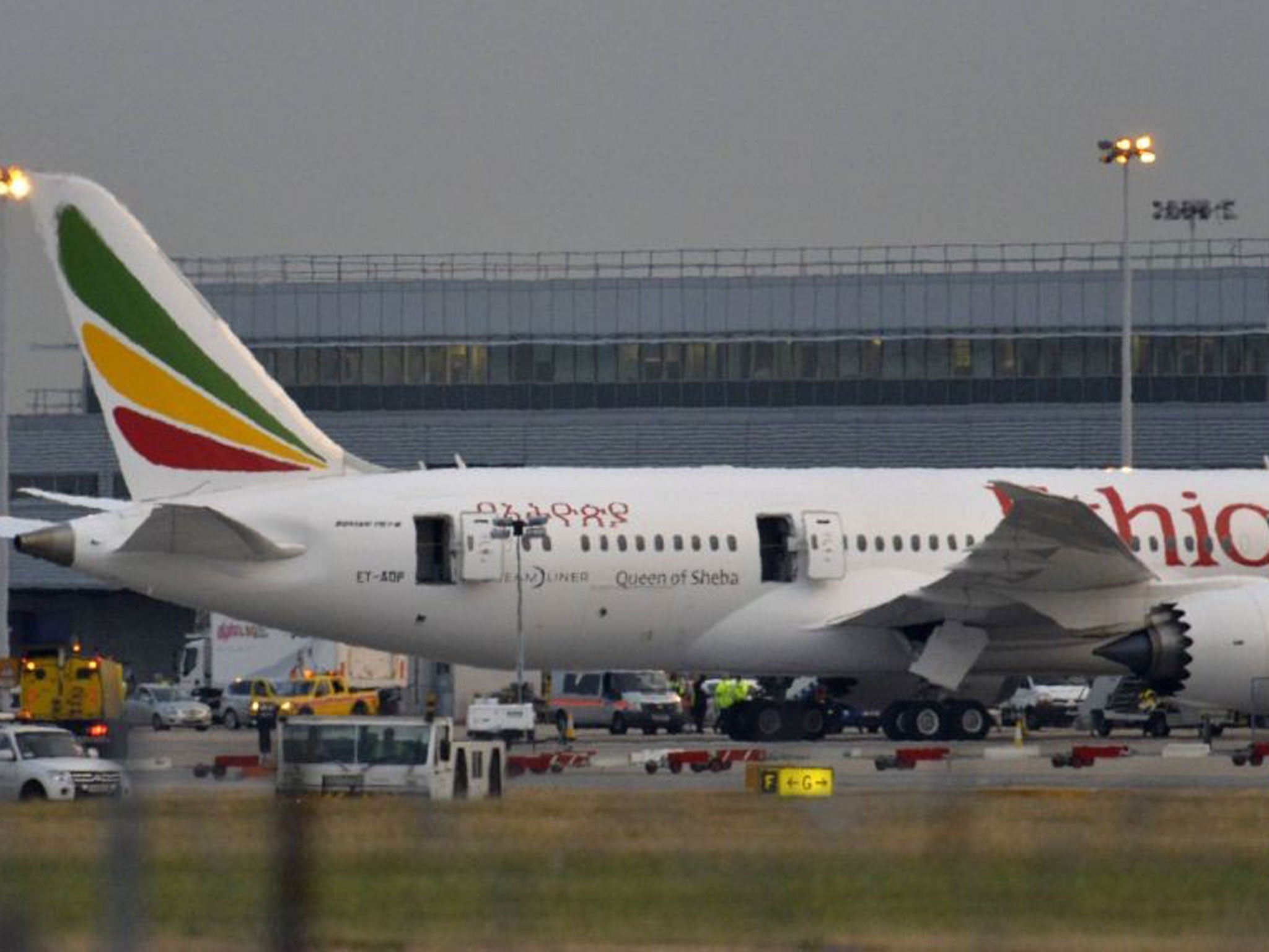 Airline officials have said initial checks ruled out any link to battery-related problems that grounded the fleet earlier this year