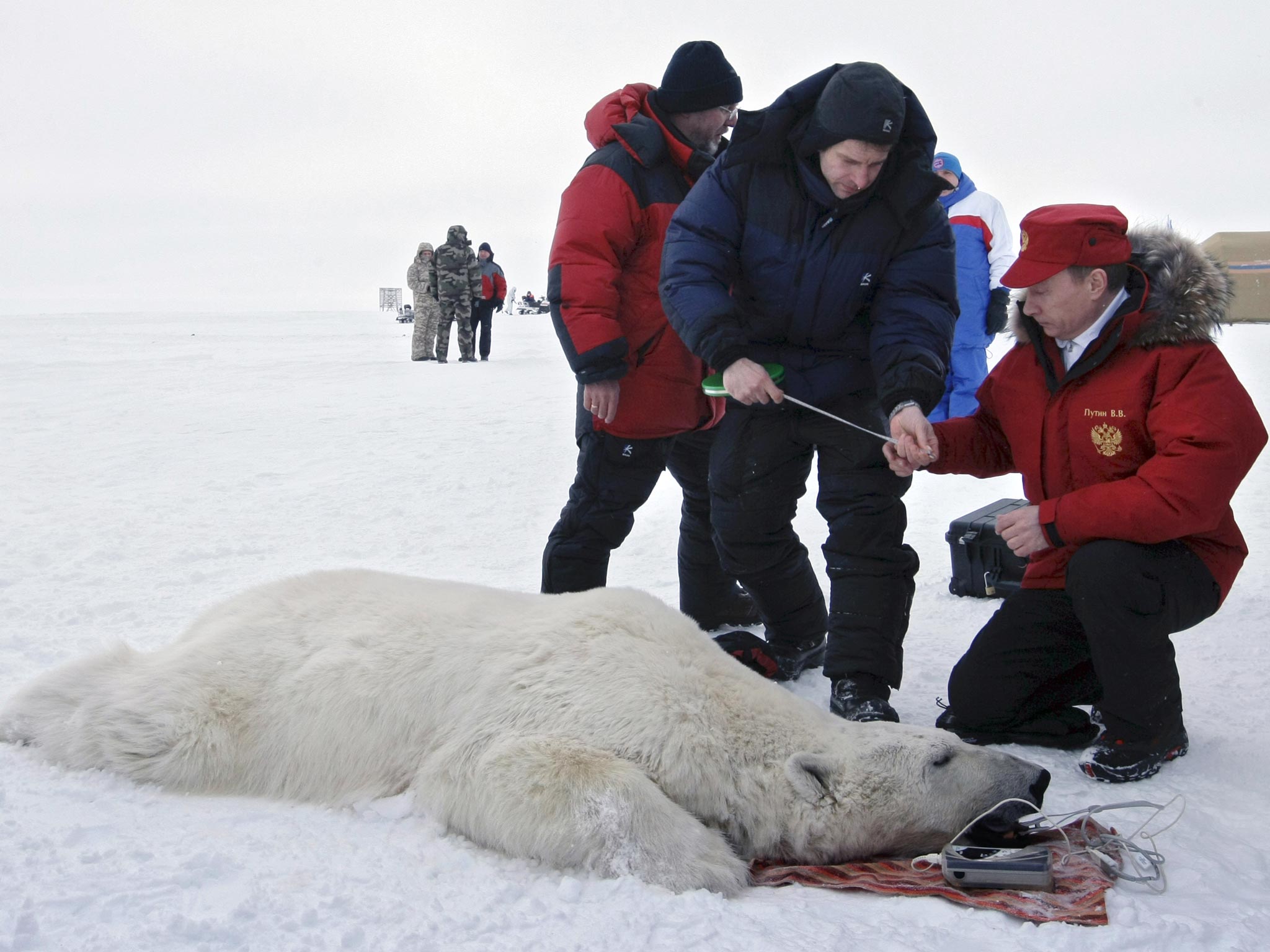 Putin (right) and scientists examining a polar bear