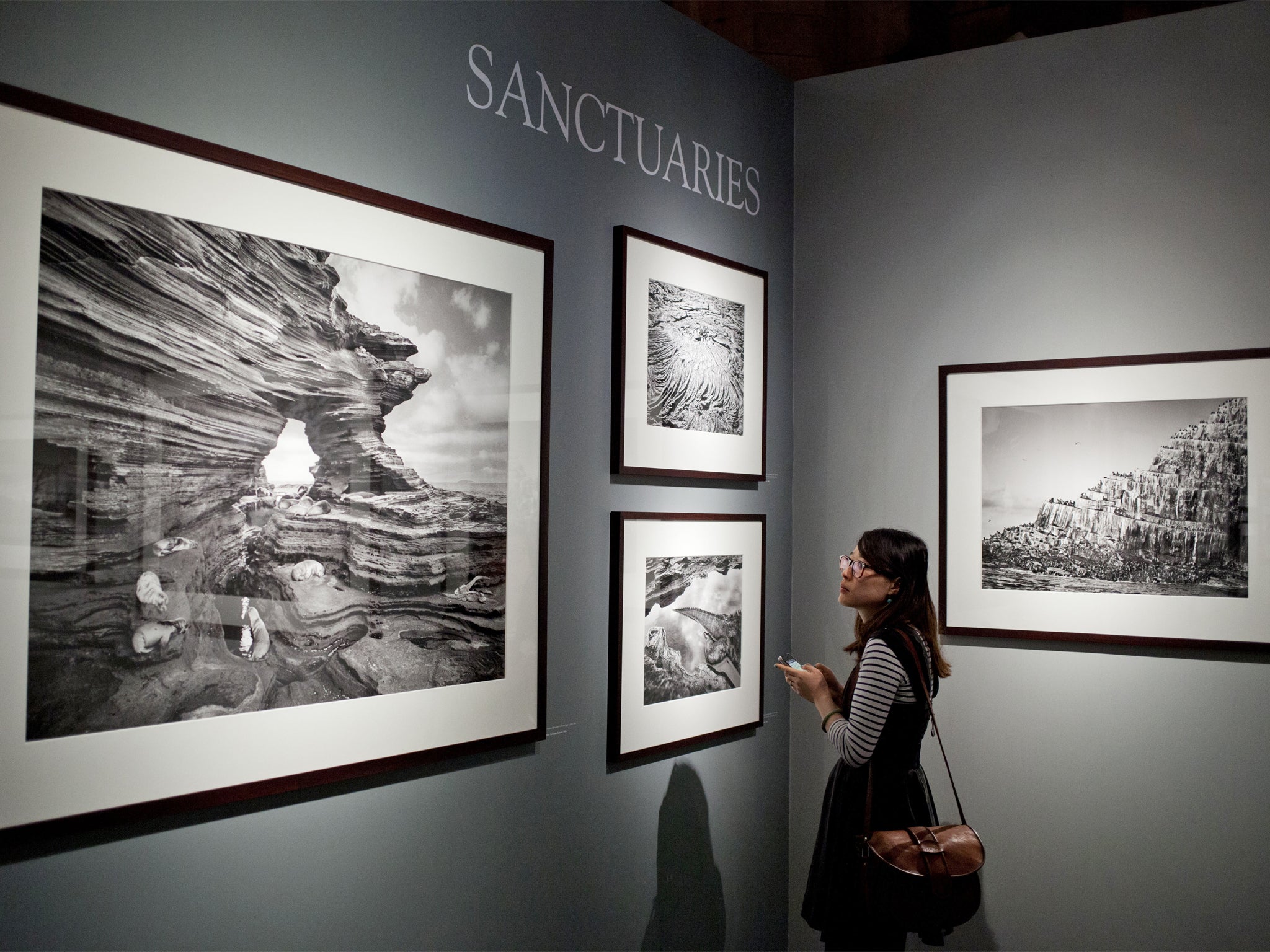 A woman looks at work by Sebastião Salgado at the Natural History Museum