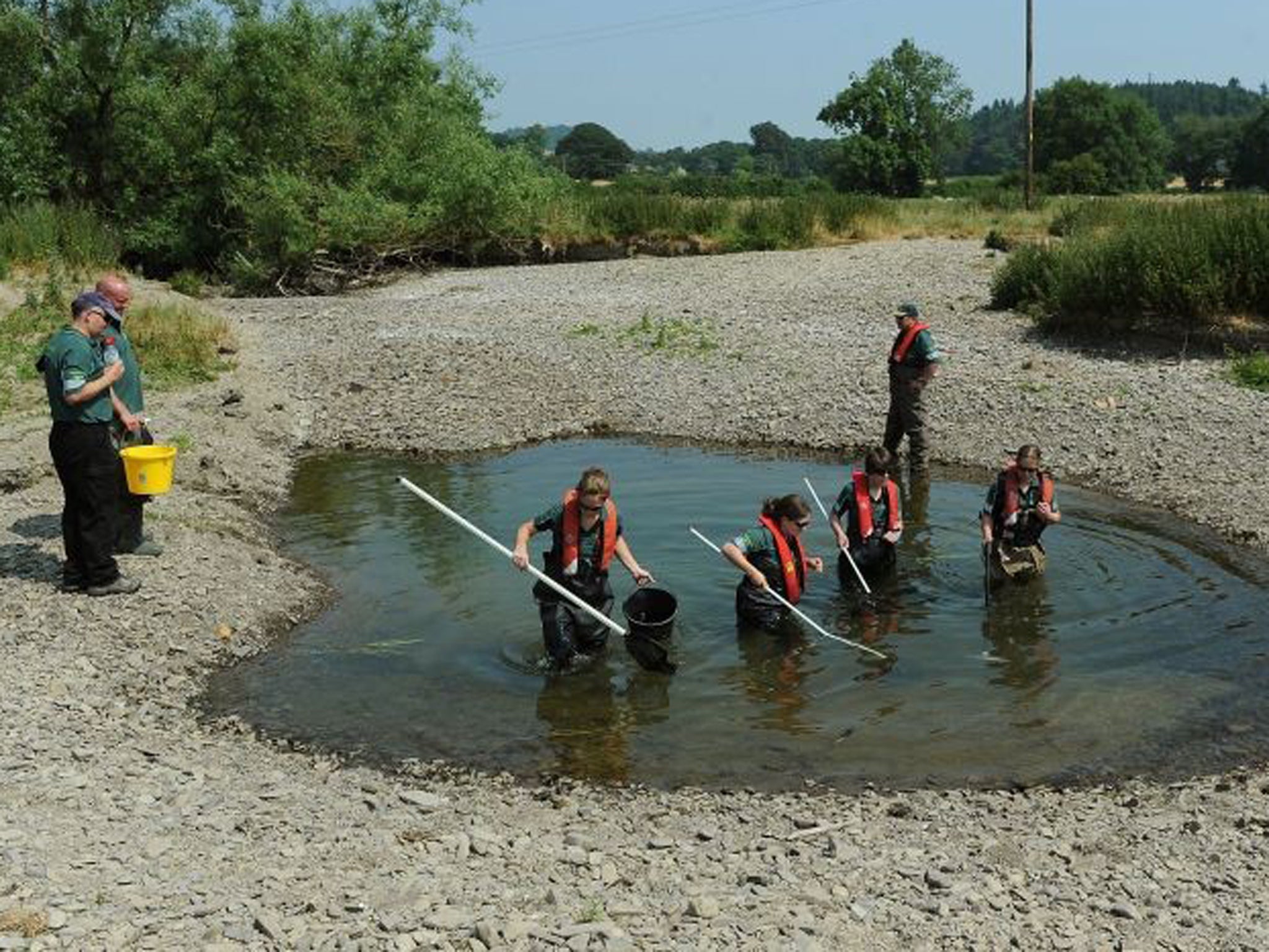 Monitoring officers Emily Huntingford, Sally Richardson and Imogen Nicholson and Fisheries officer Laura Bullock of the Environment Agency search a remaining pool of water in the dried bed of the River Teme, in north Herefordshire, for fish that have beco