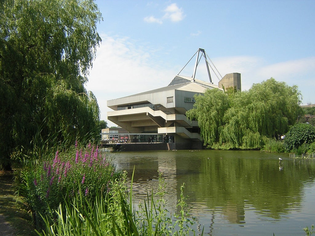 York University (complete with ducks)