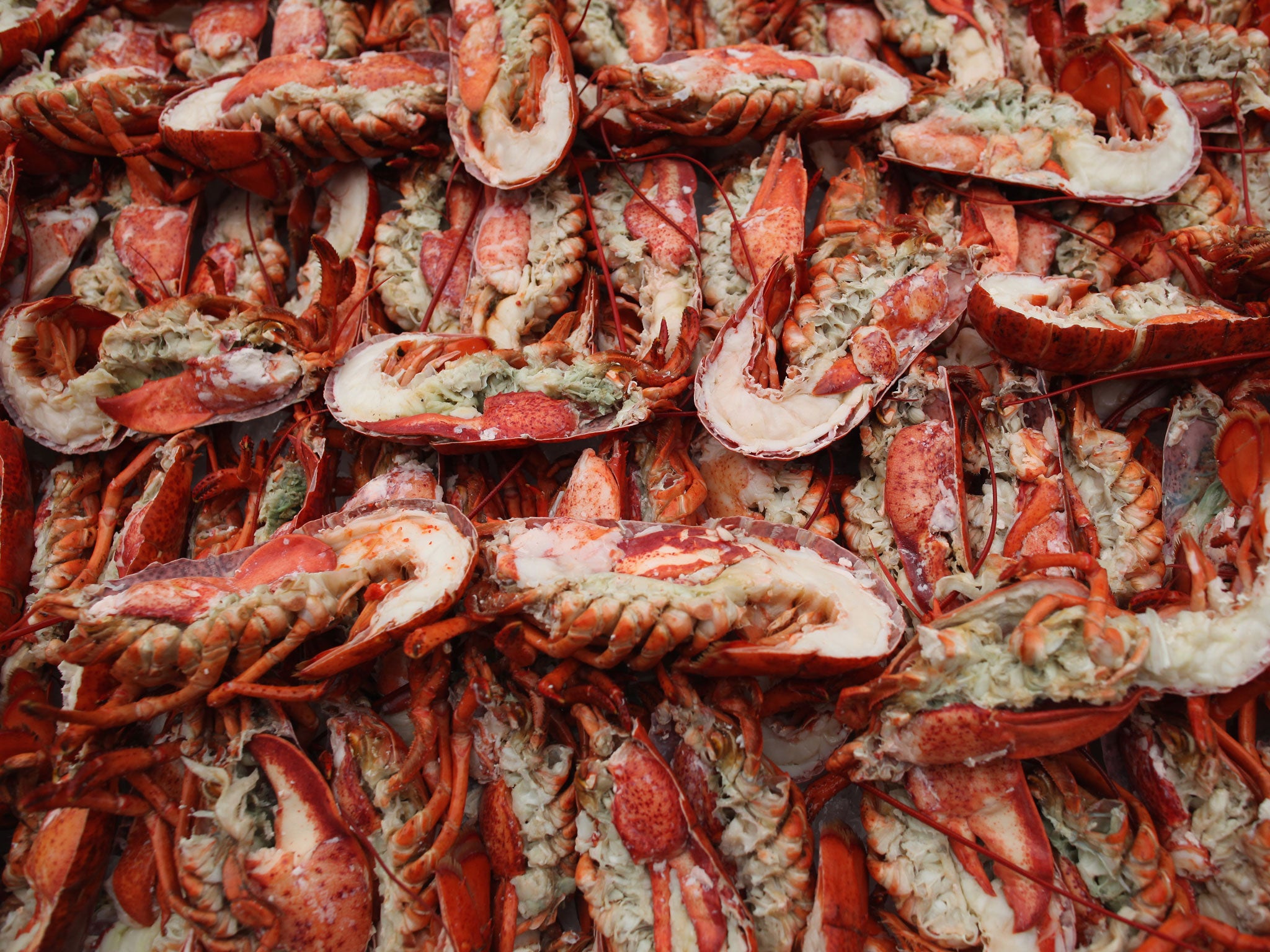 Lobsters are prepared to be grilled at the 'Salon Prive' luxury and supercar event on June 22, 2011 in London, England.