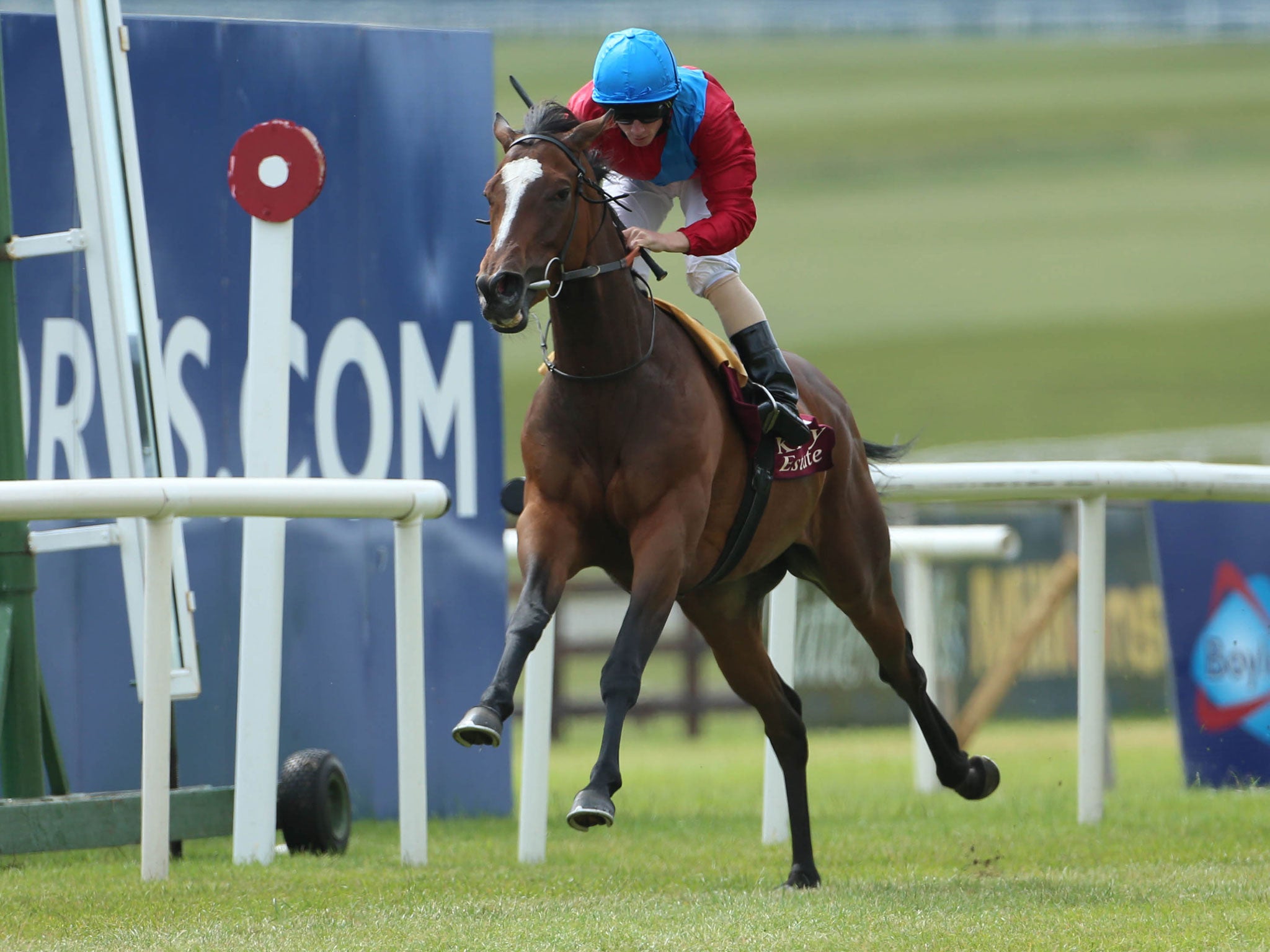 Dank winning at The Curragh