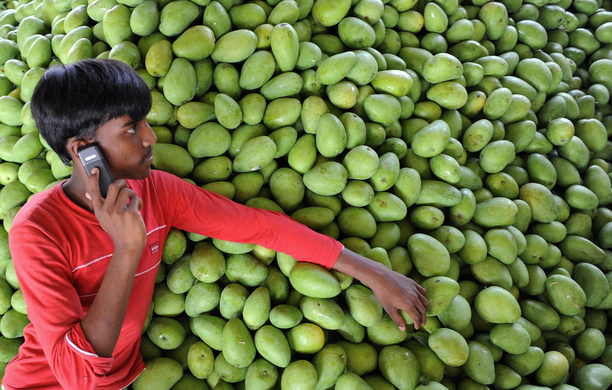 An Indian farmer talks on his mobile phone