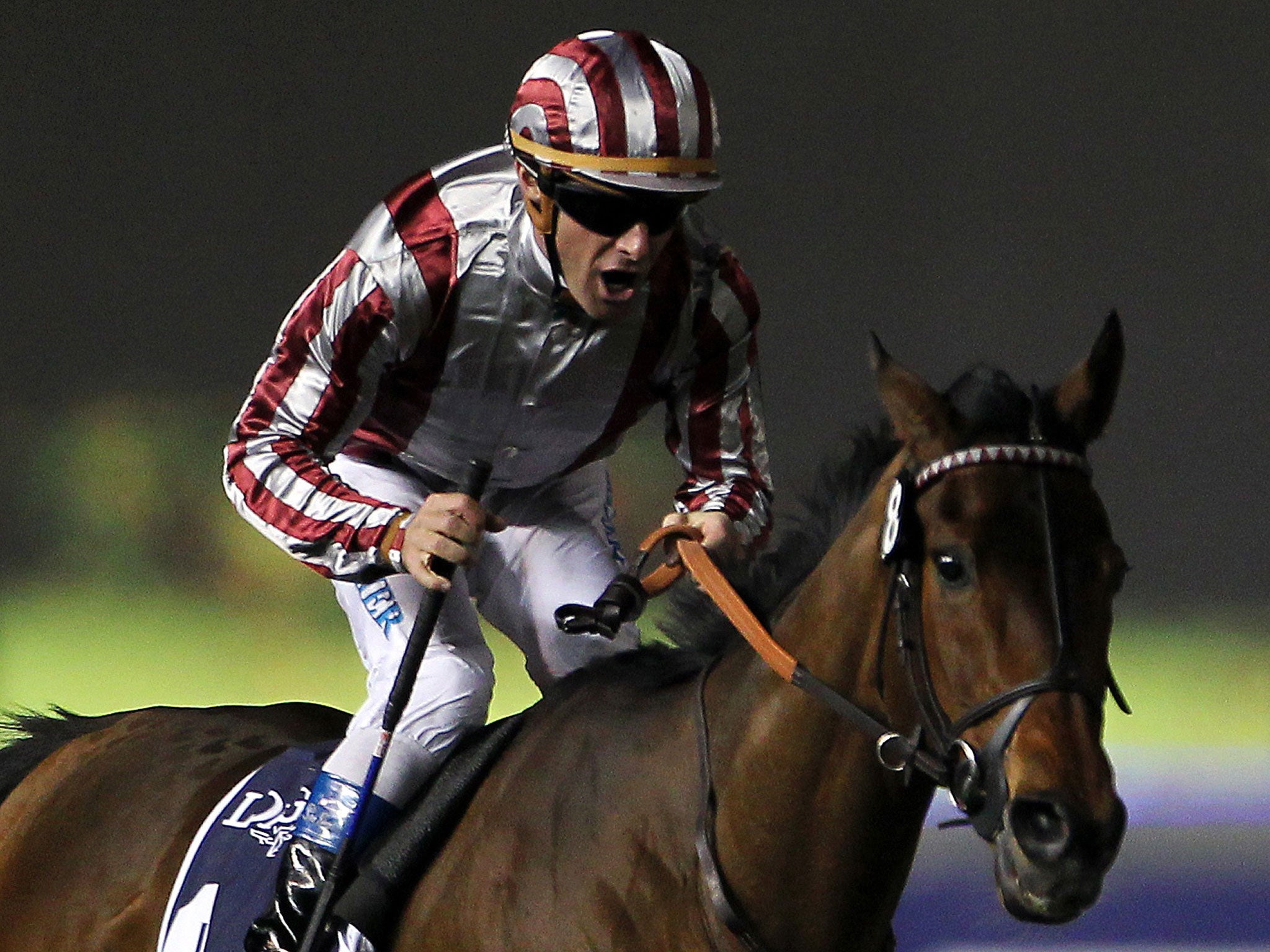 Cirrus Des Aigles could gain an edge if Ascot's showpiece is run on soft ground Saturday