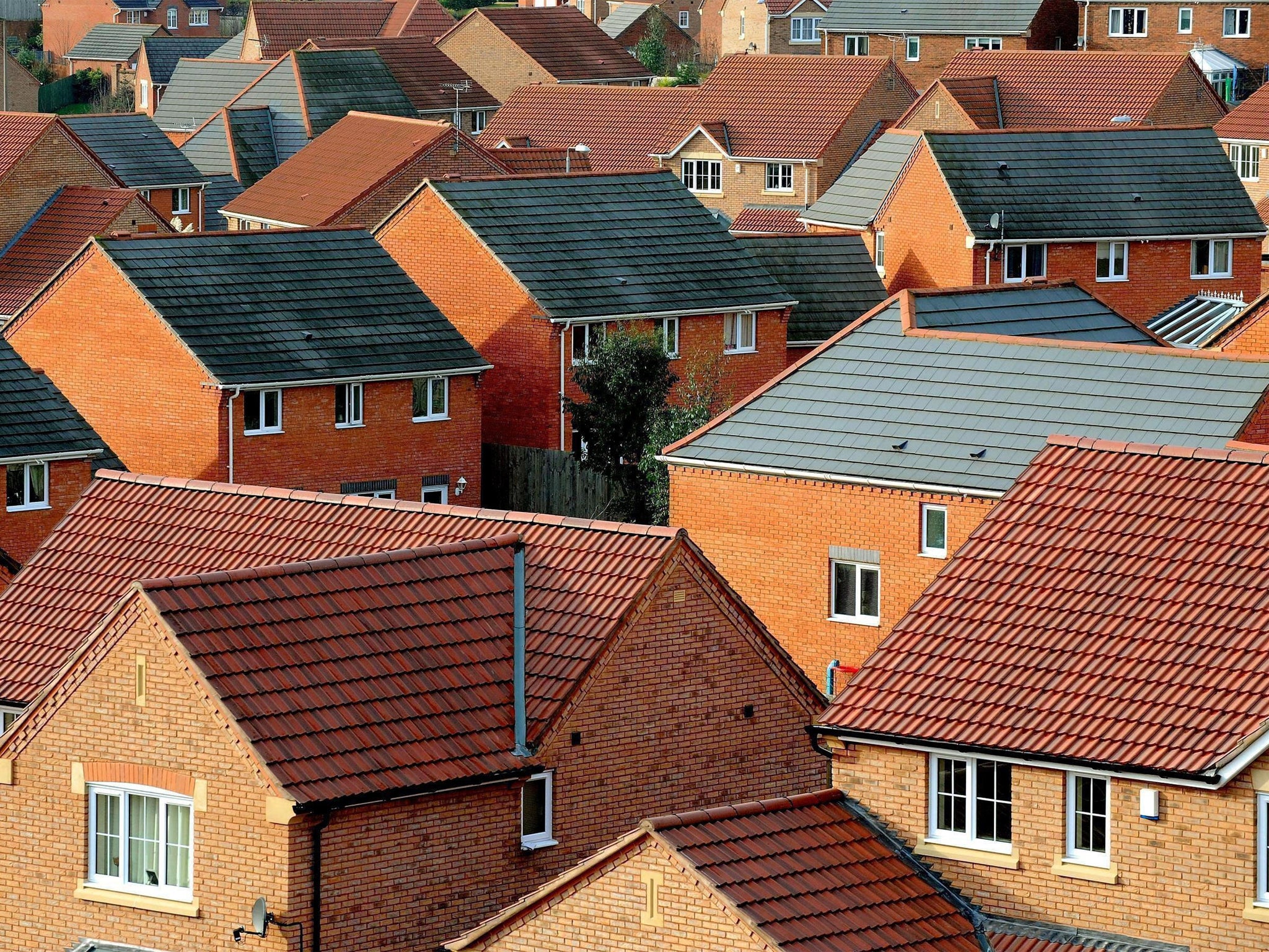 Average-income first-time buyers make up the bulk of 2,000-plus who have taken up the scheme