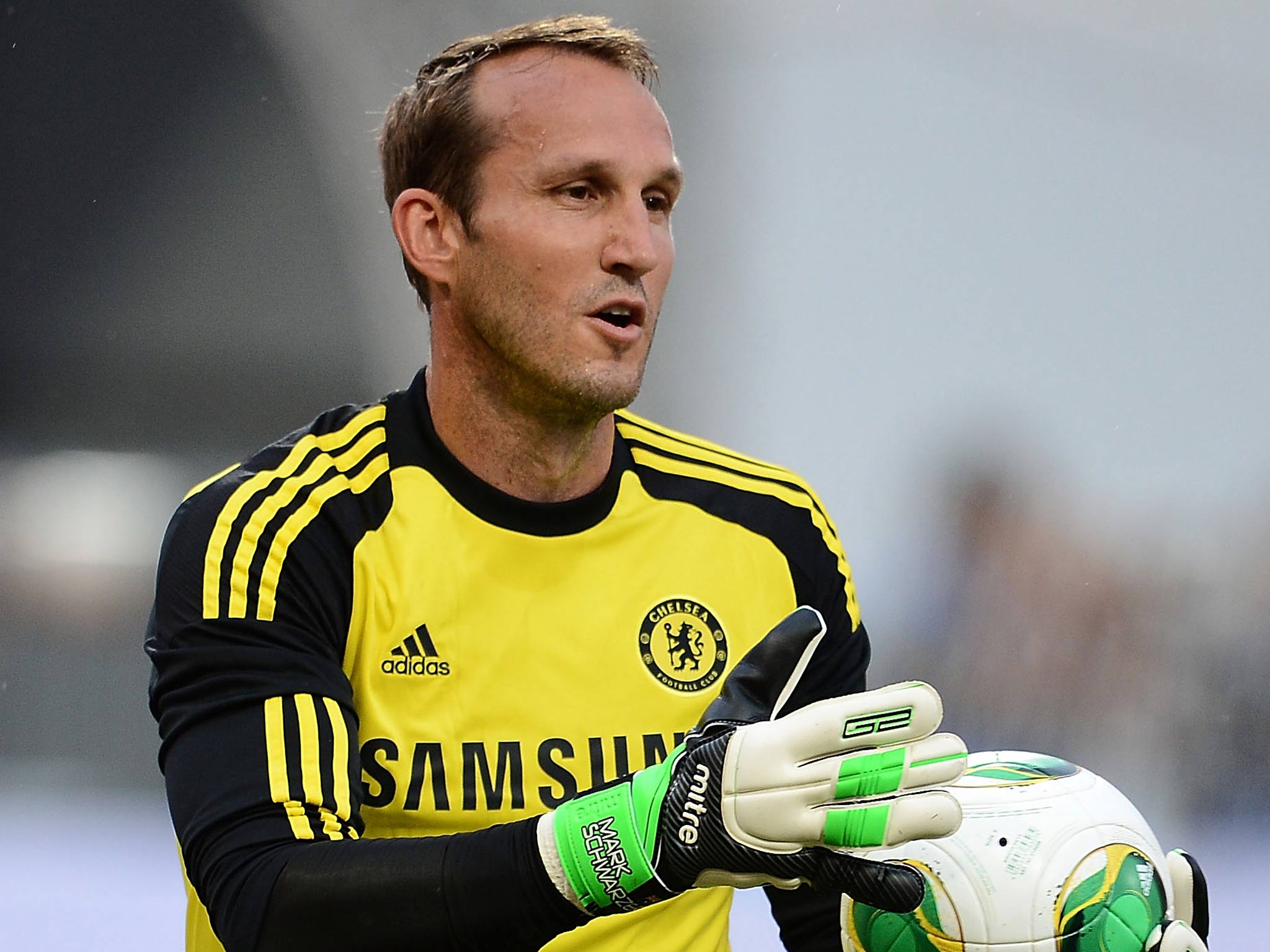 Mark Schwarzer