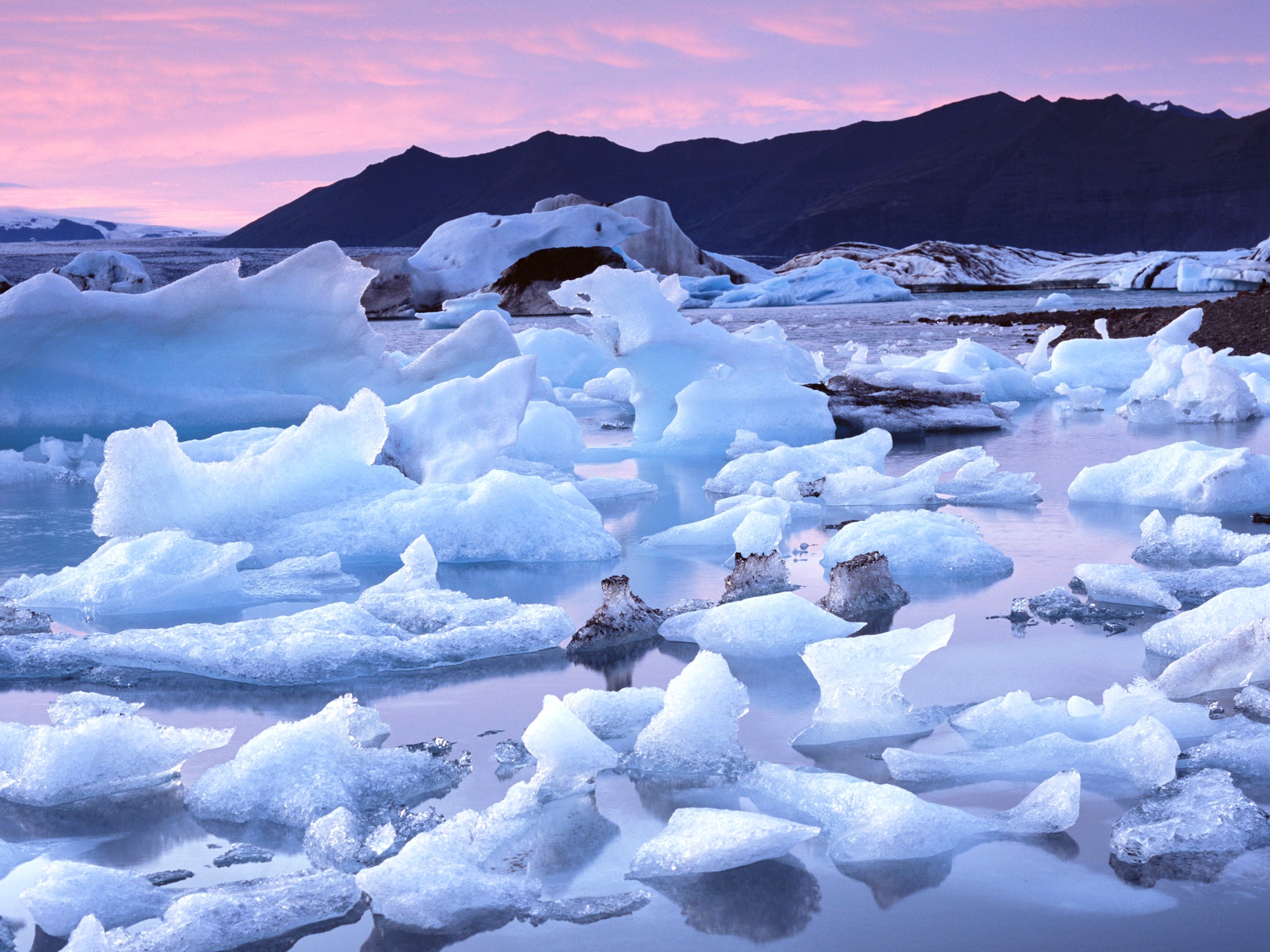 The average thickness of sea ice has fallen by a half (Rex)