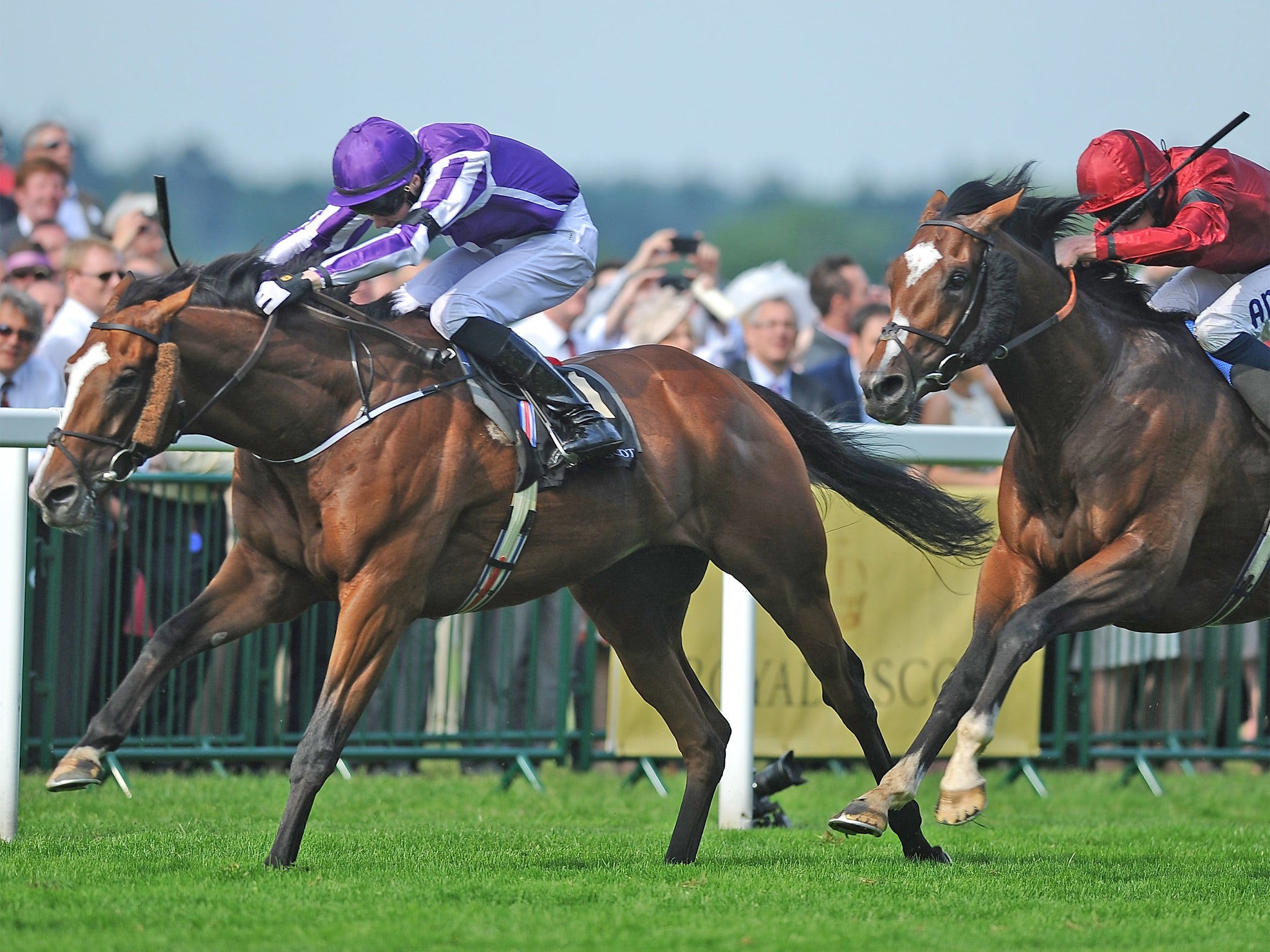 Leading Light will spearhead Aidan O’Brien’s St Leger challenge