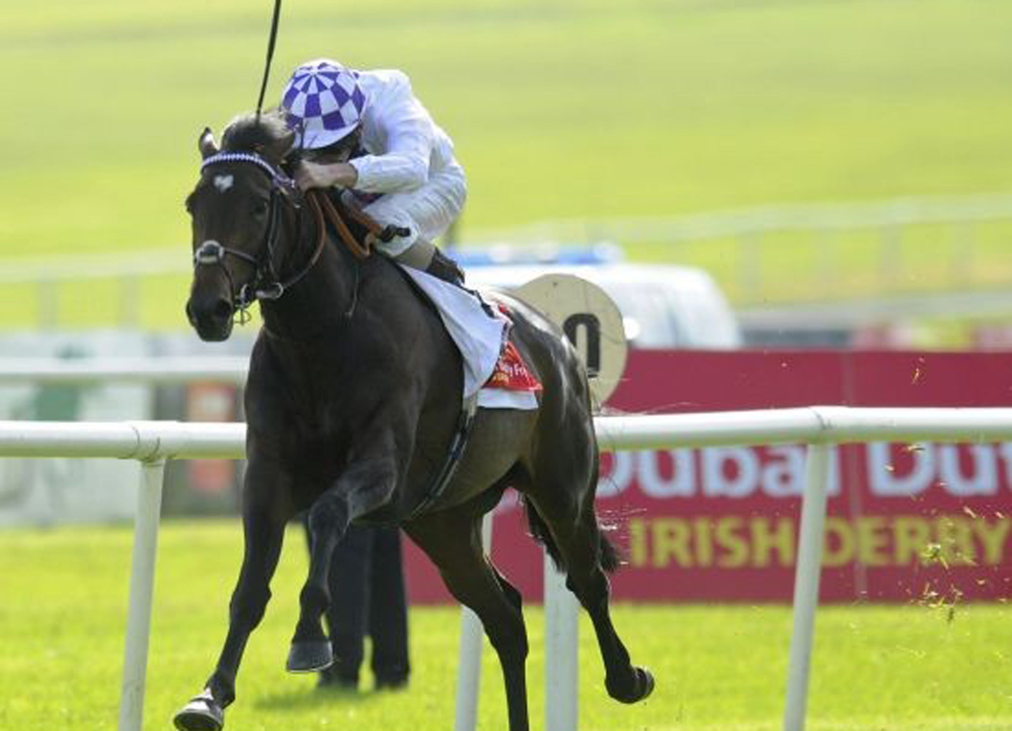 Trading Leather showed his potential in the Irish Derby