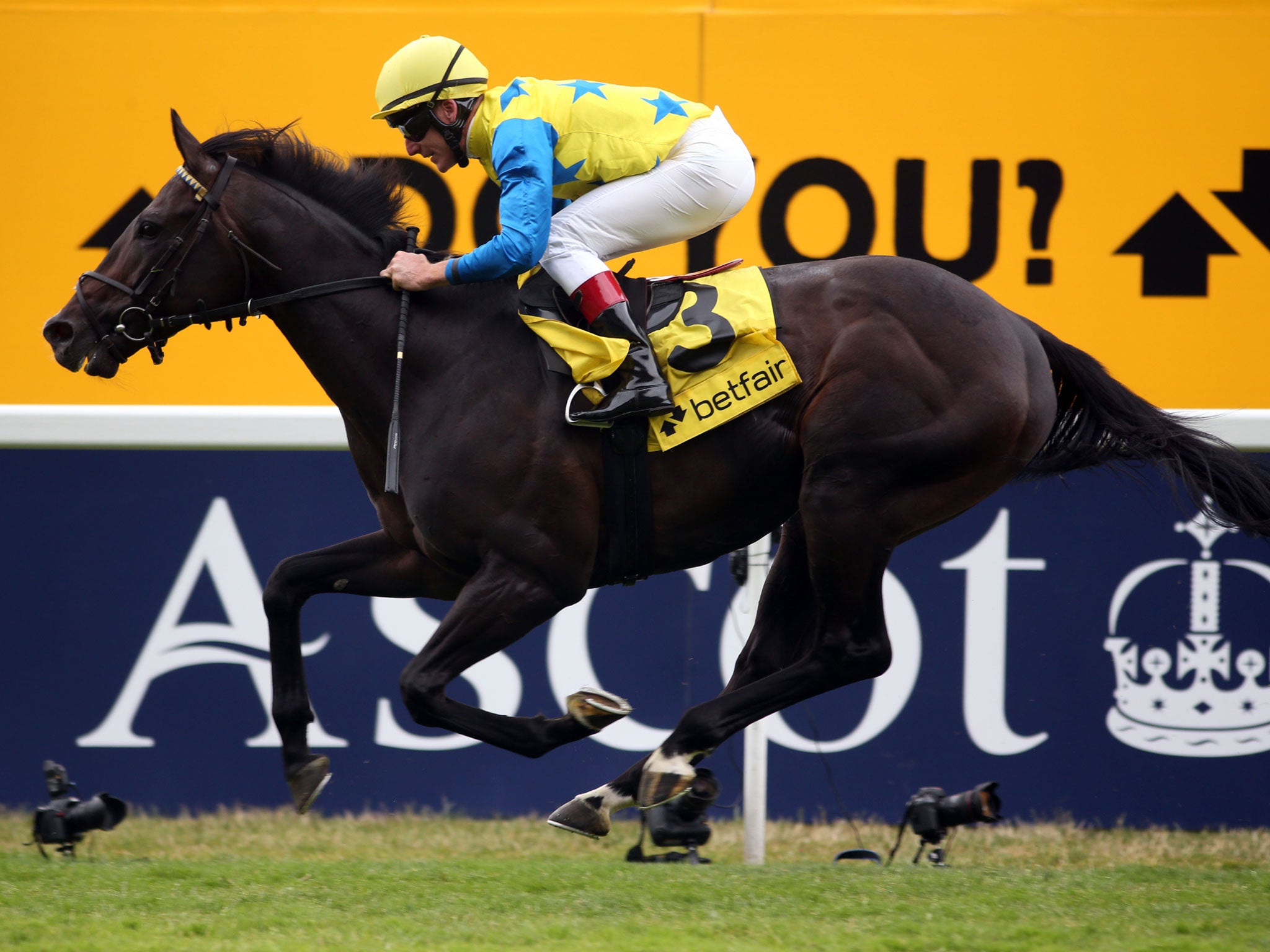 Novellist wins the King George VI in a record time at Ascot