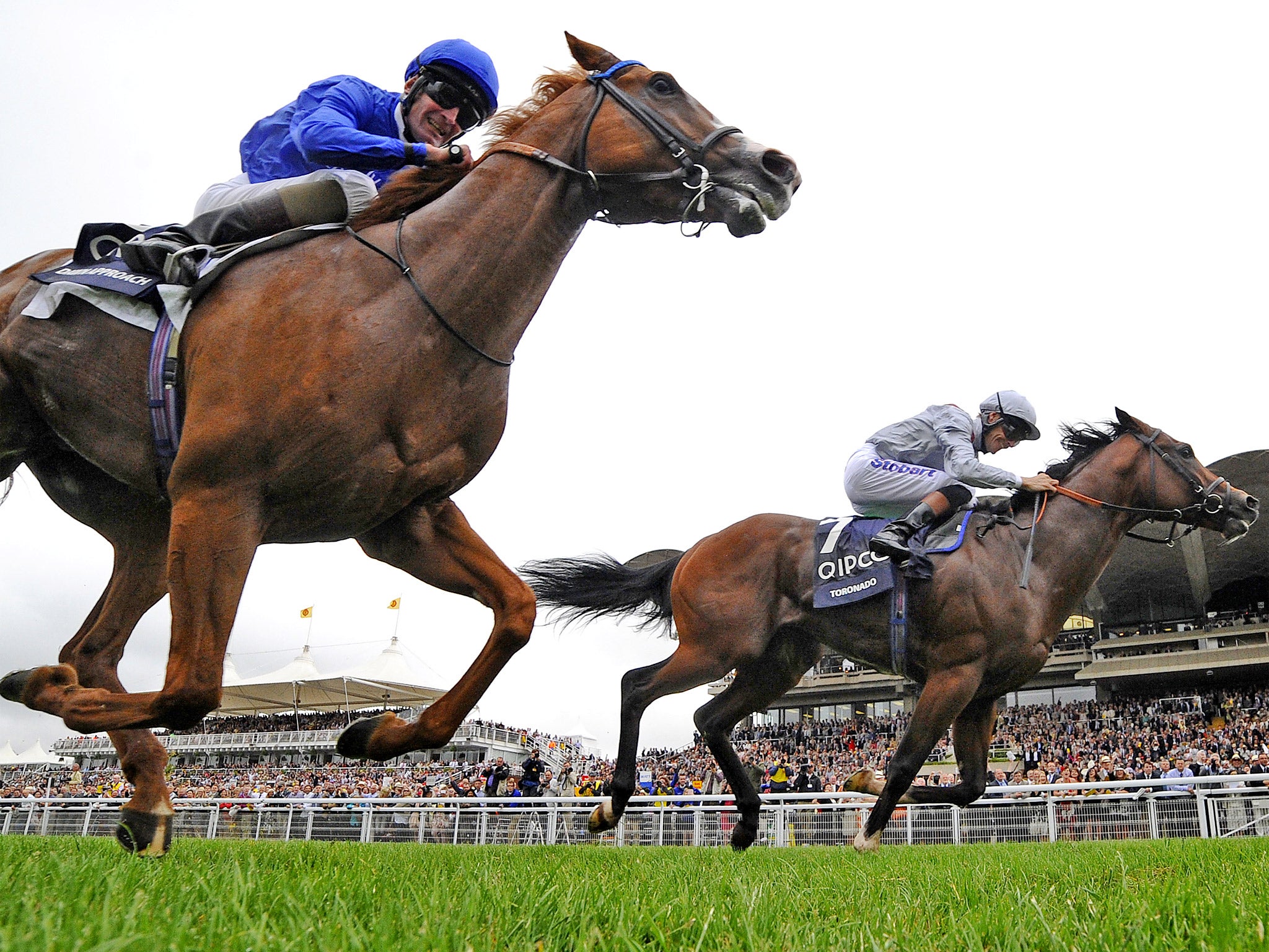 Richard Hughes delivers Toronado (right) to land the Sussex Stakes