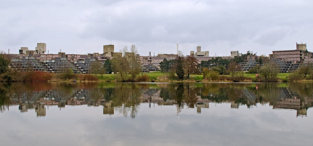 A woman's body was found in the lake this morning