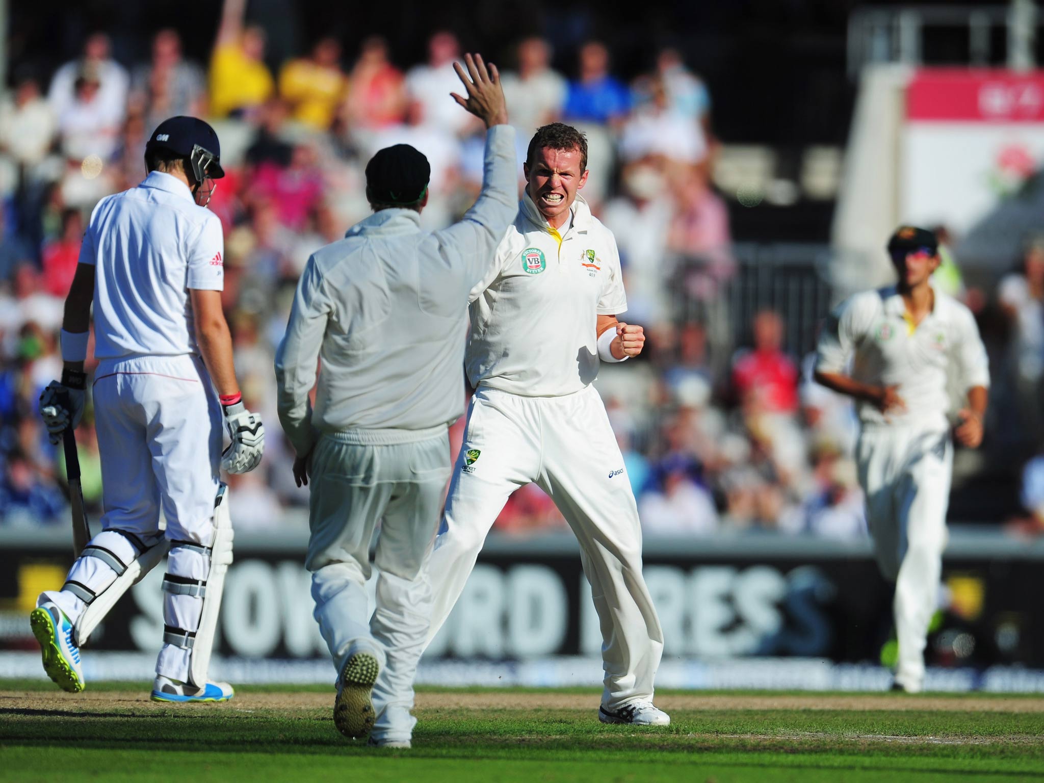 Peter Siddle of Australia celebrates the wicket of Joe Root