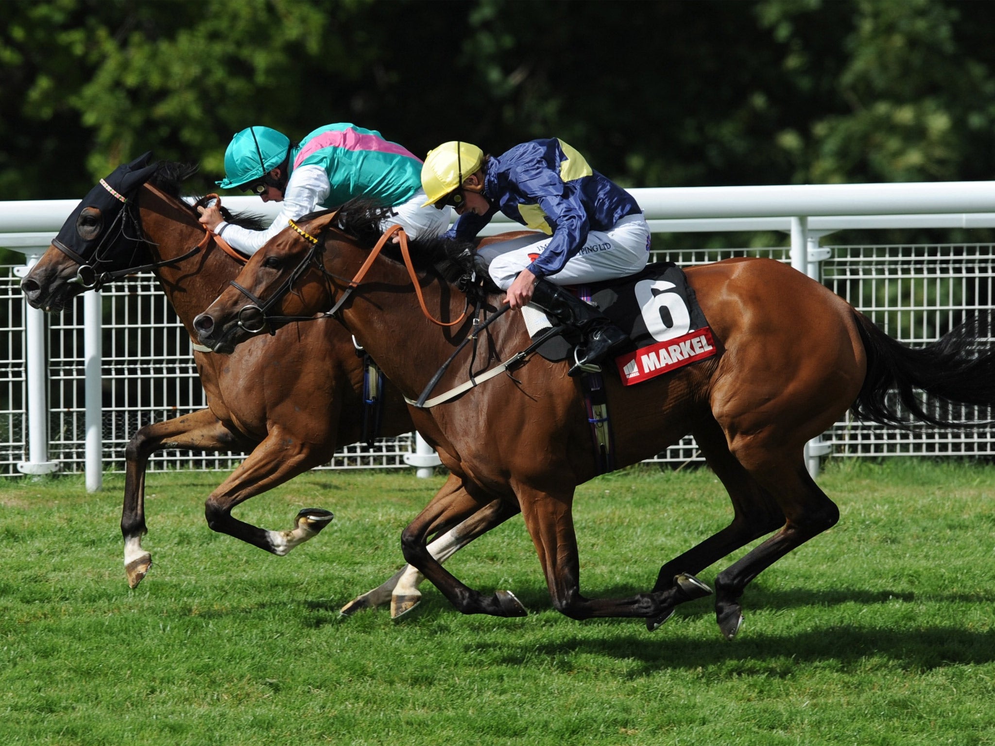 Hood for the hills: William Buick’s mount Winsili holds off a late challenge from the 33-1 shot Thistle Bird to secure a surprising victory at Glorious Goodwood