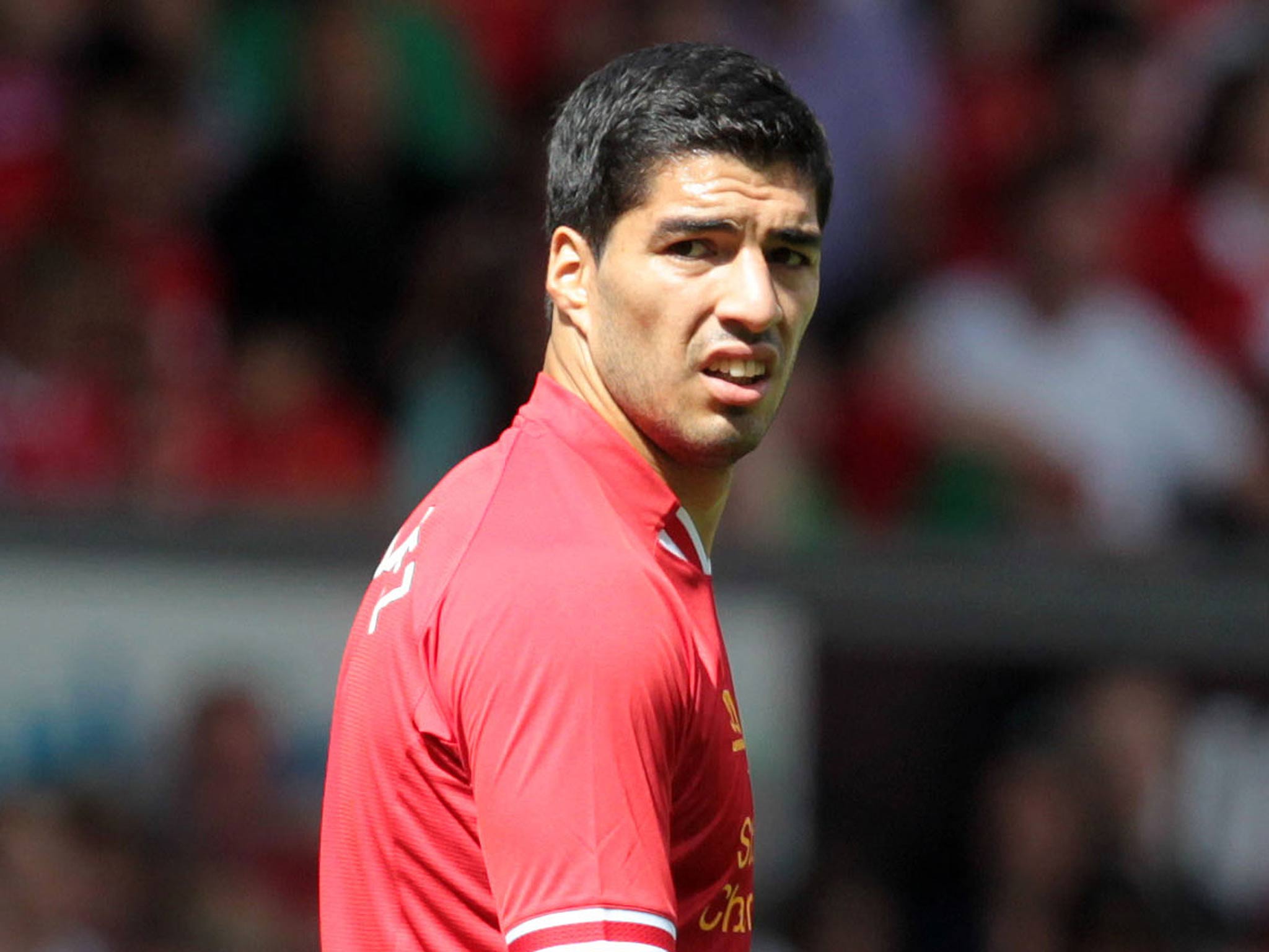 Liverpool's Luis Suarez