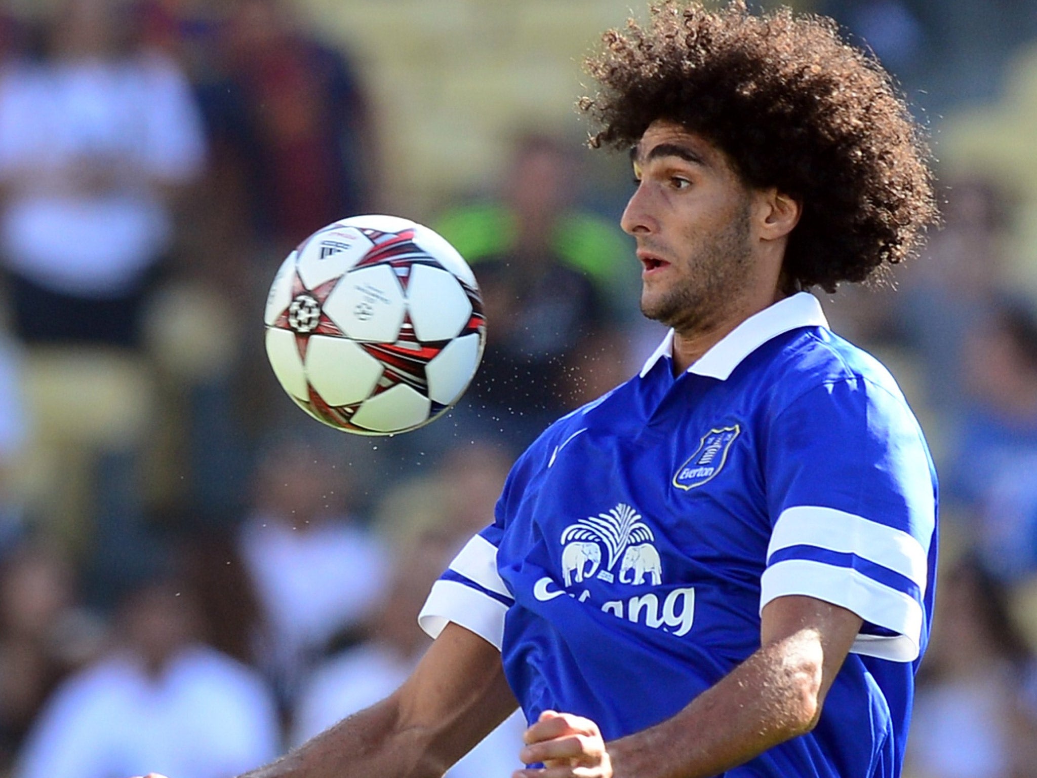 Marouane Fellaini is valued at £20m