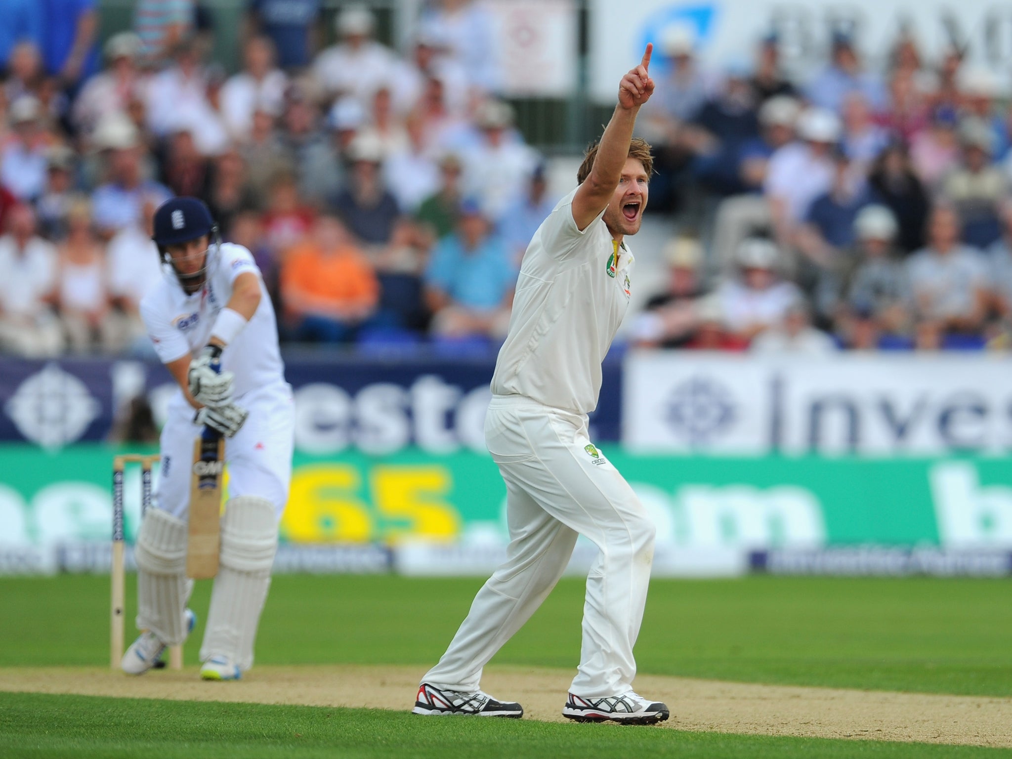 Joe Root was given out after a review showed he edged a Shane Watson delivery