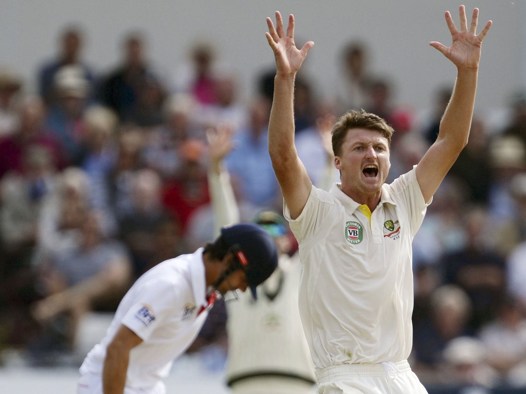 Jackson Bird claims the wicket of England's captain, Alastair Cook