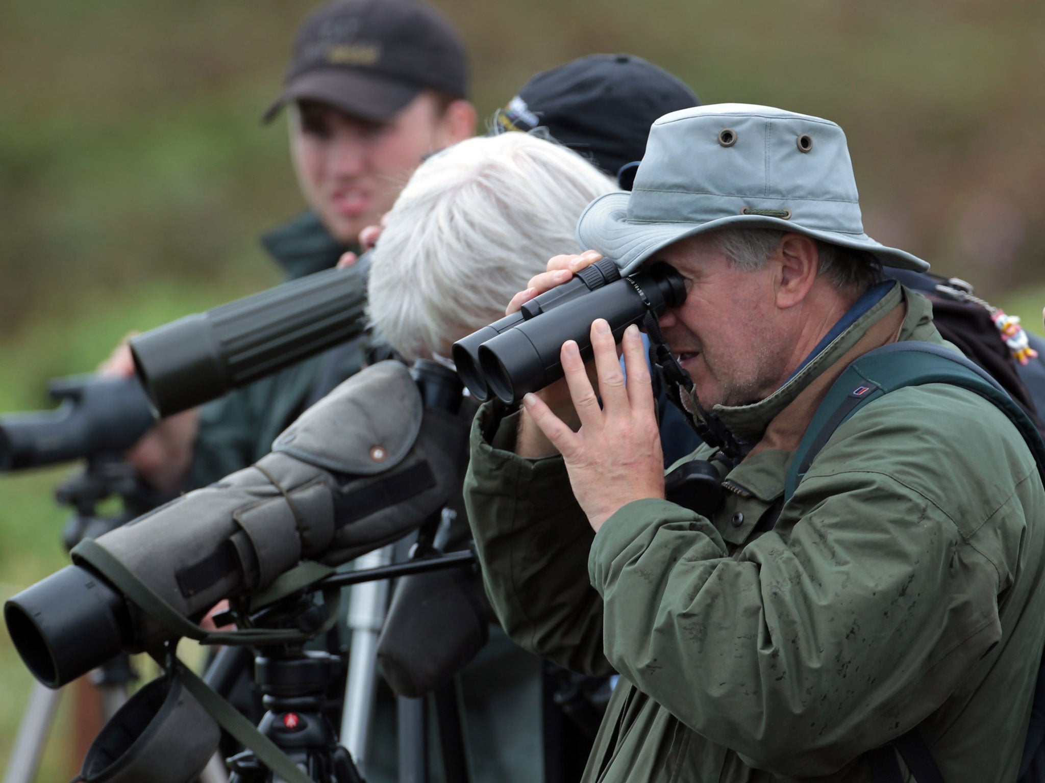 Eager birdwatchers